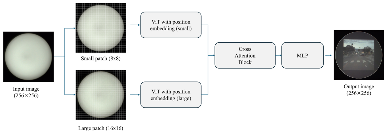 Preprints 223787 g006 Preprints 223787 g006