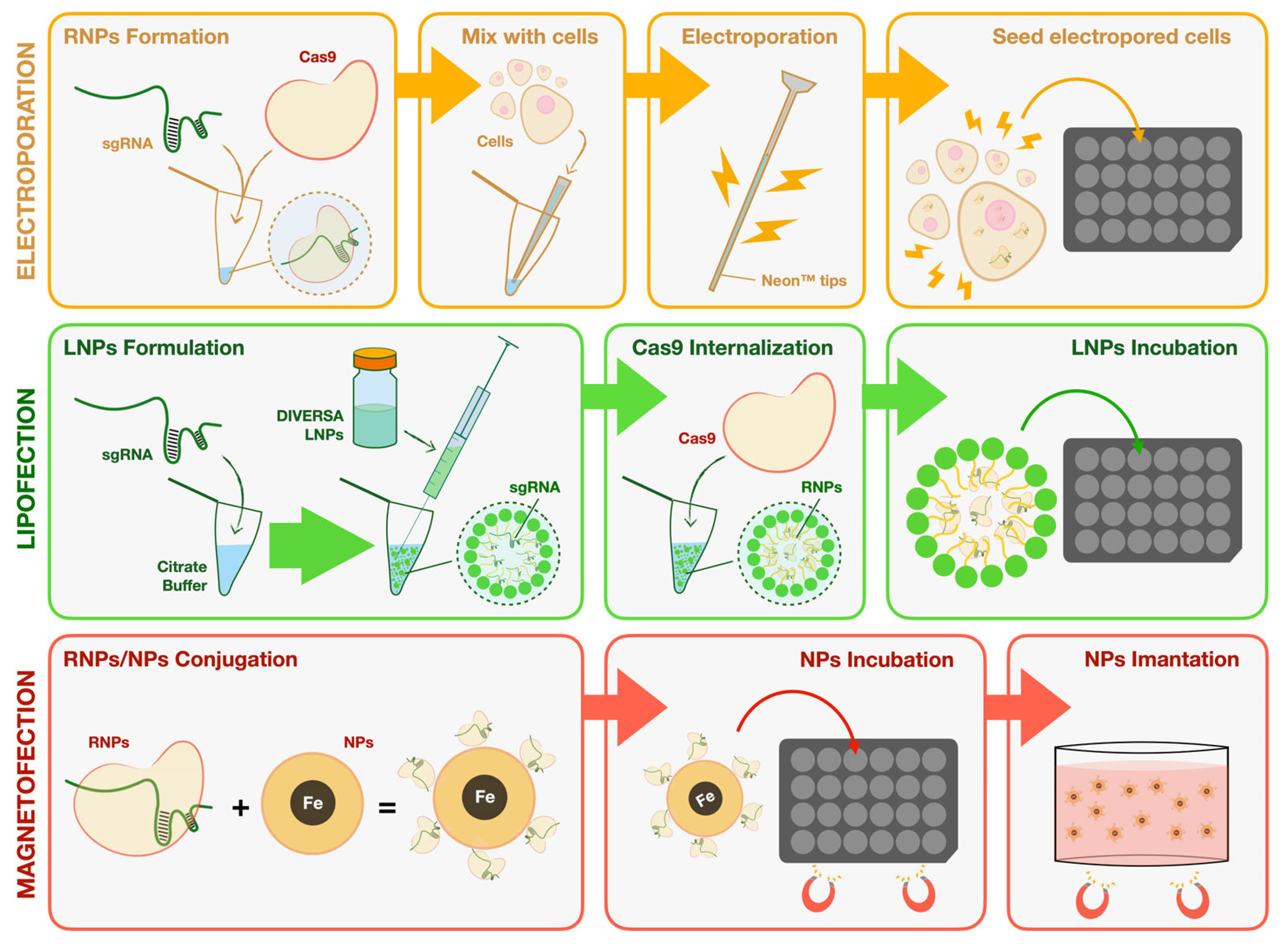 Preprints 162698 g001