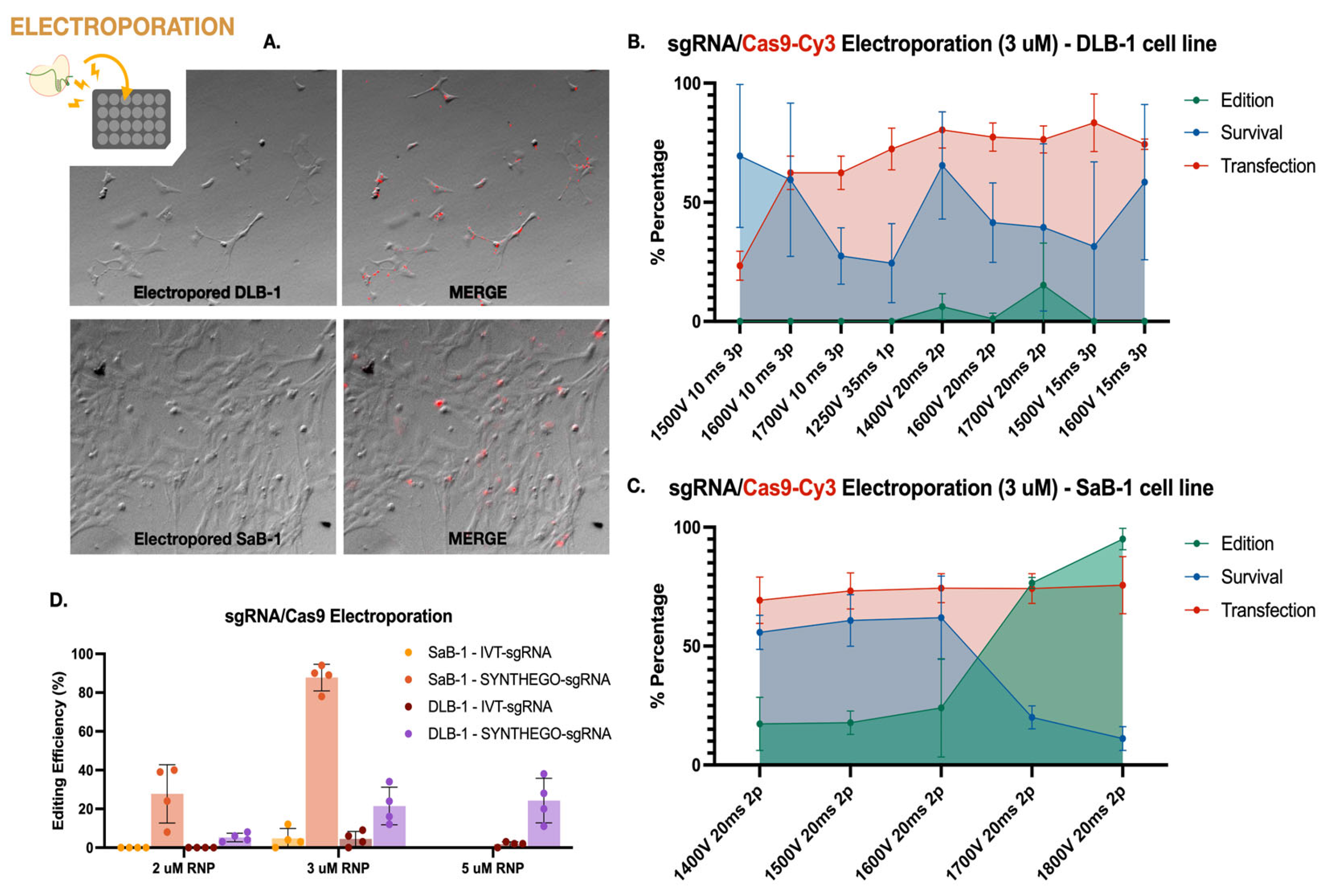Preprints 162698 g002