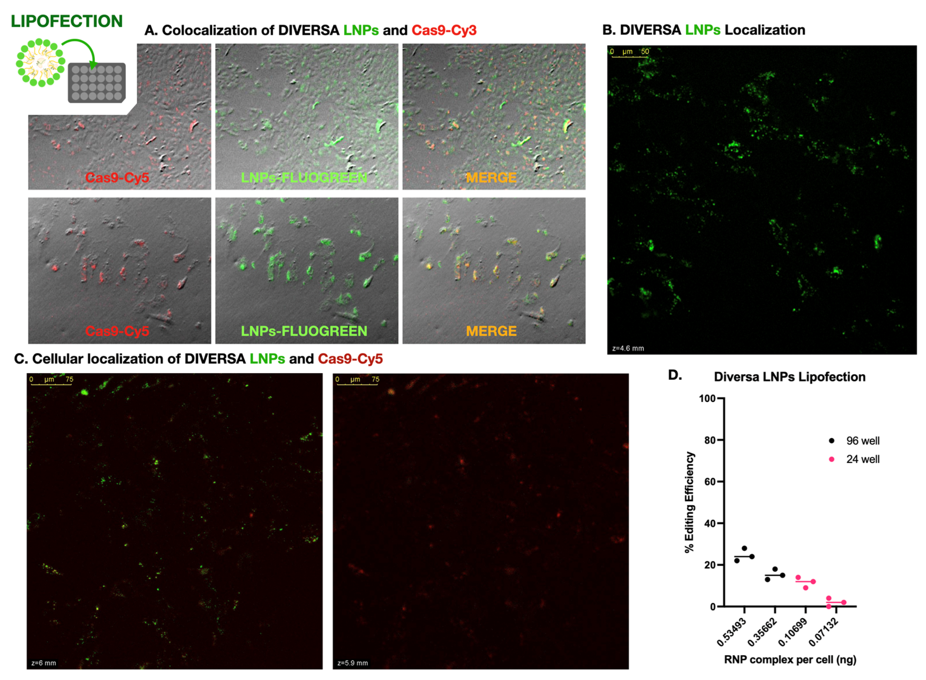 Preprints 162698 g003