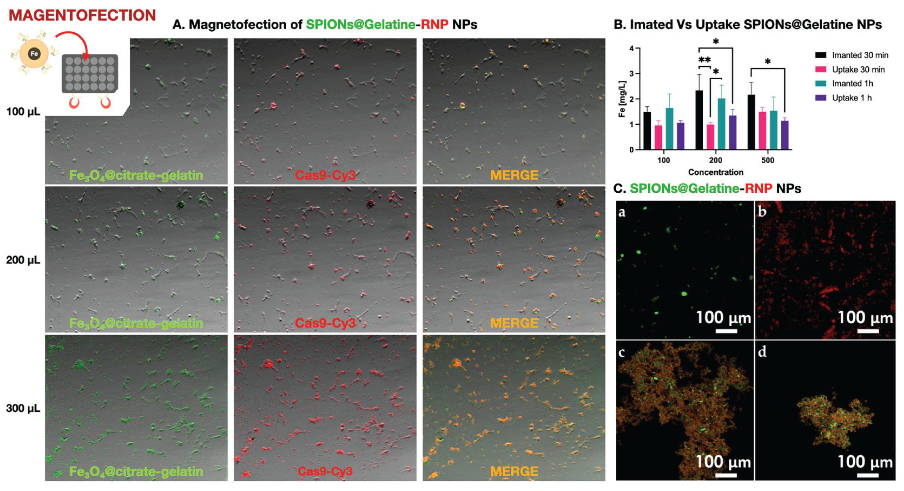 Preprints 162698 g004