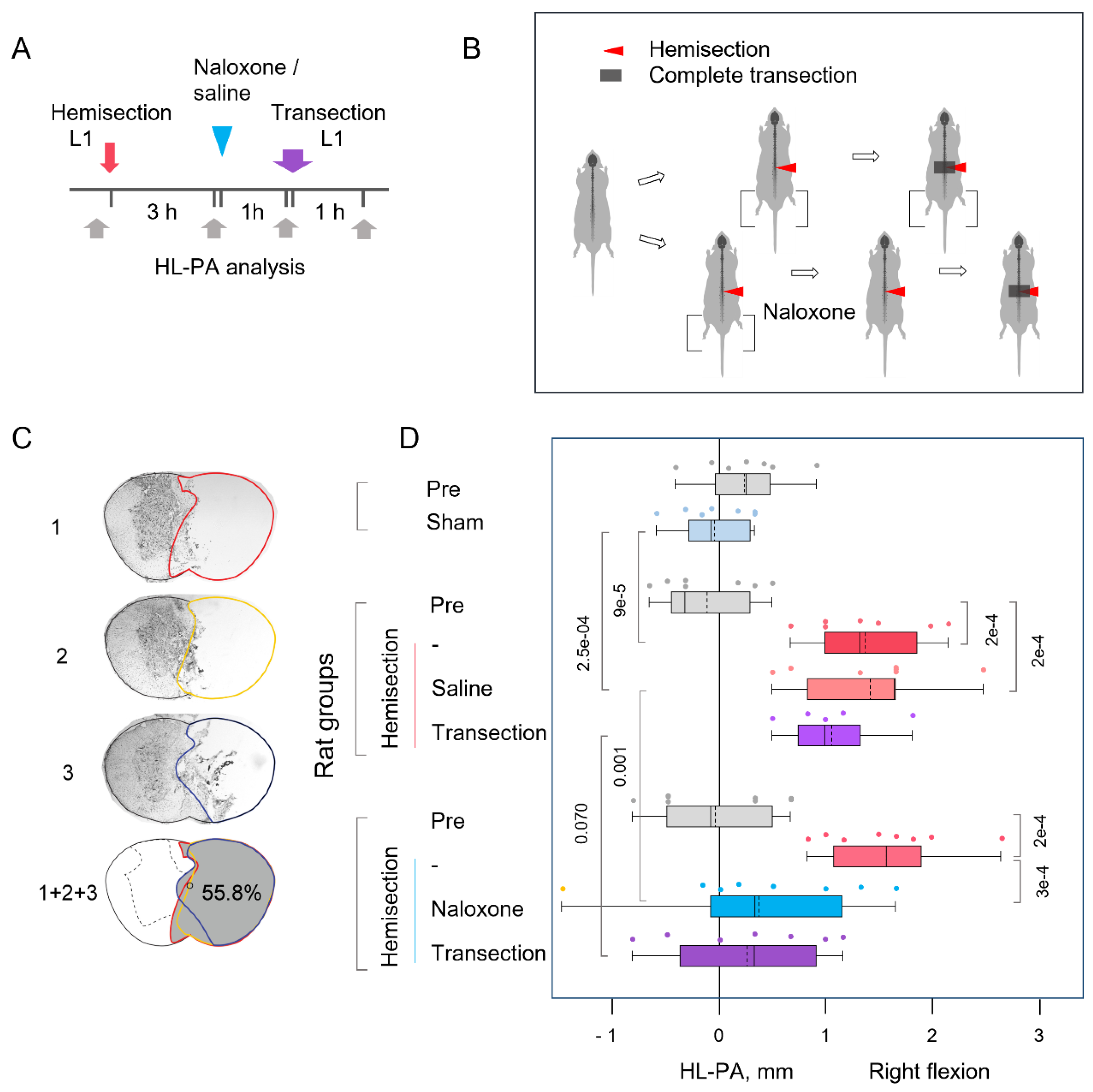 Preprints 159345 g001