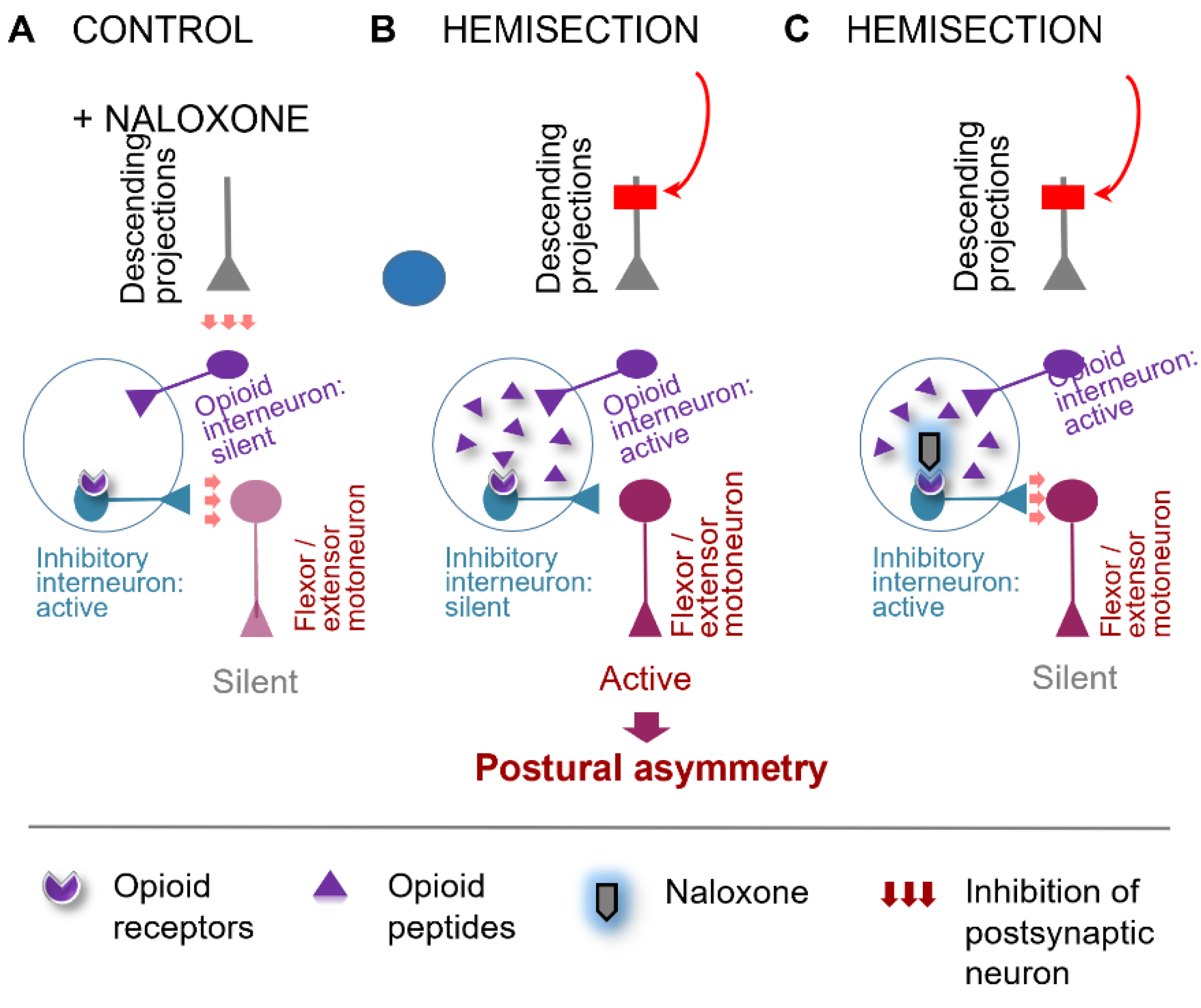 Preprints 159345 g003