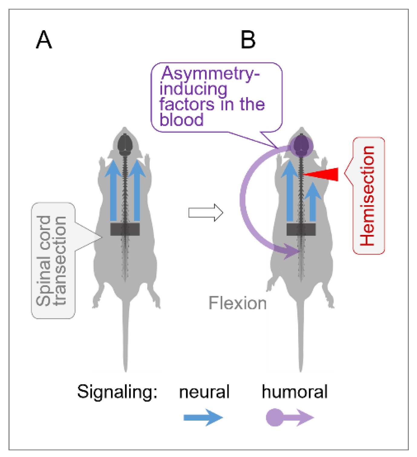 Preprints 159345 g004
