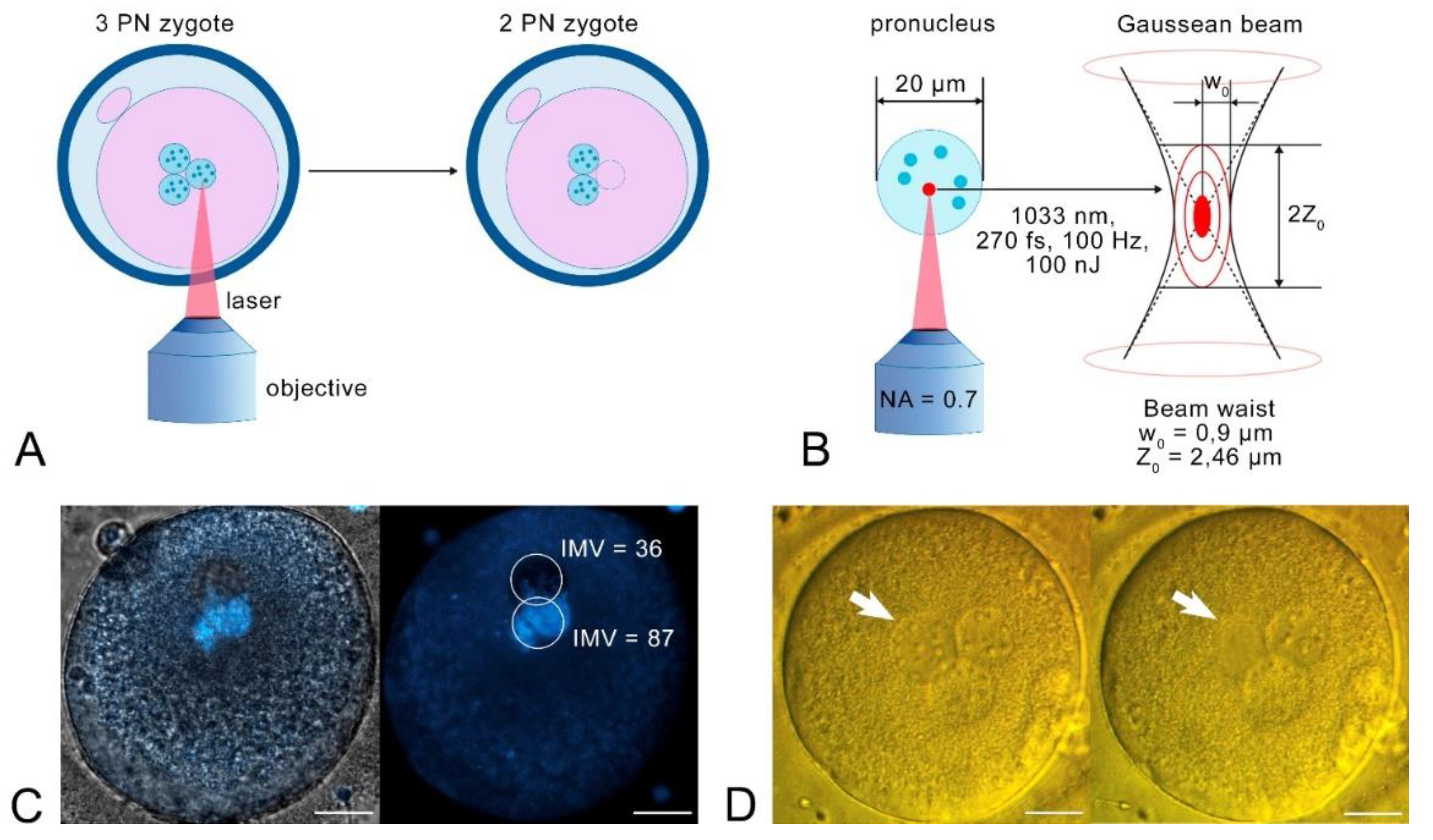 Preprints 177906 g001