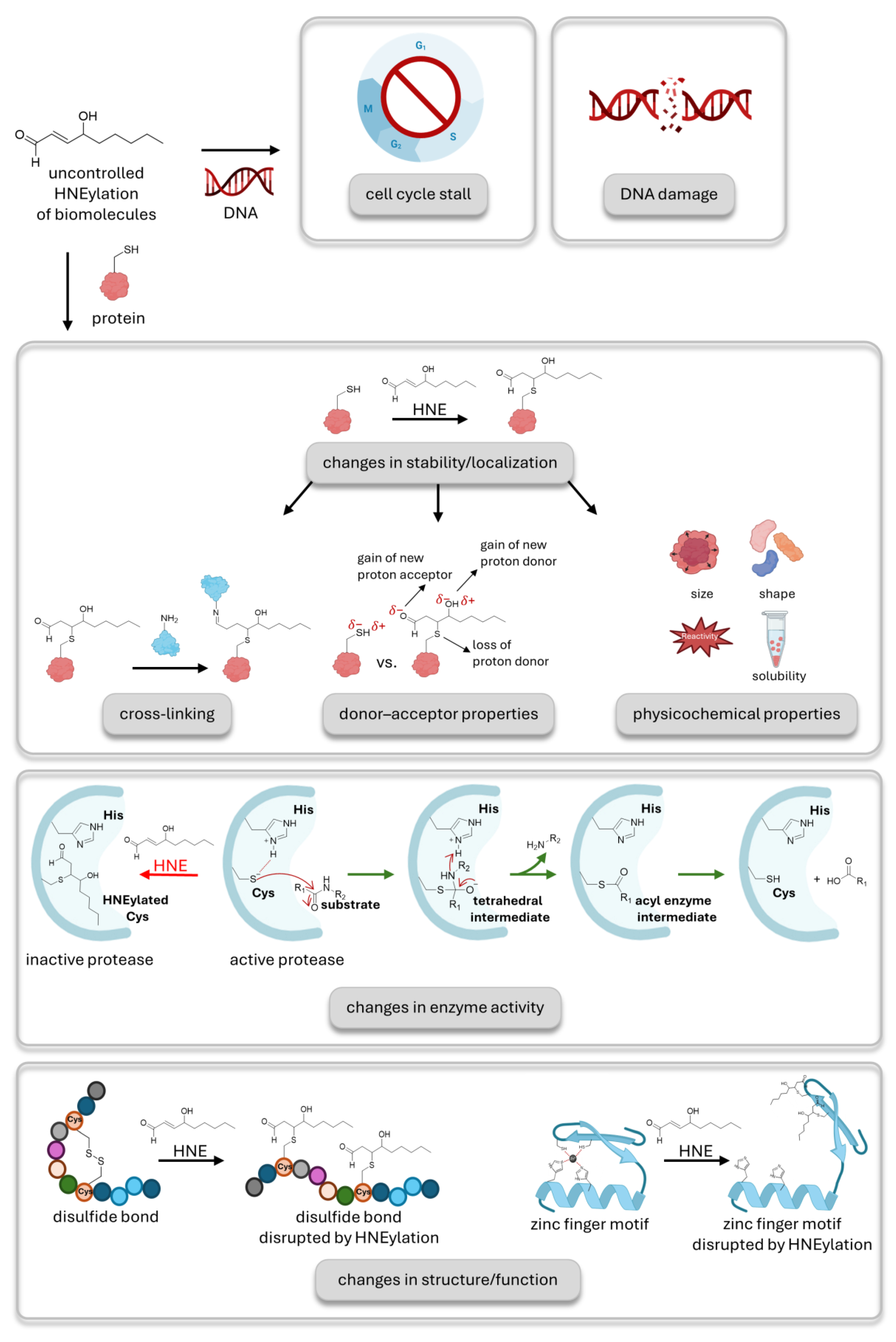 Preprints 199961 g001