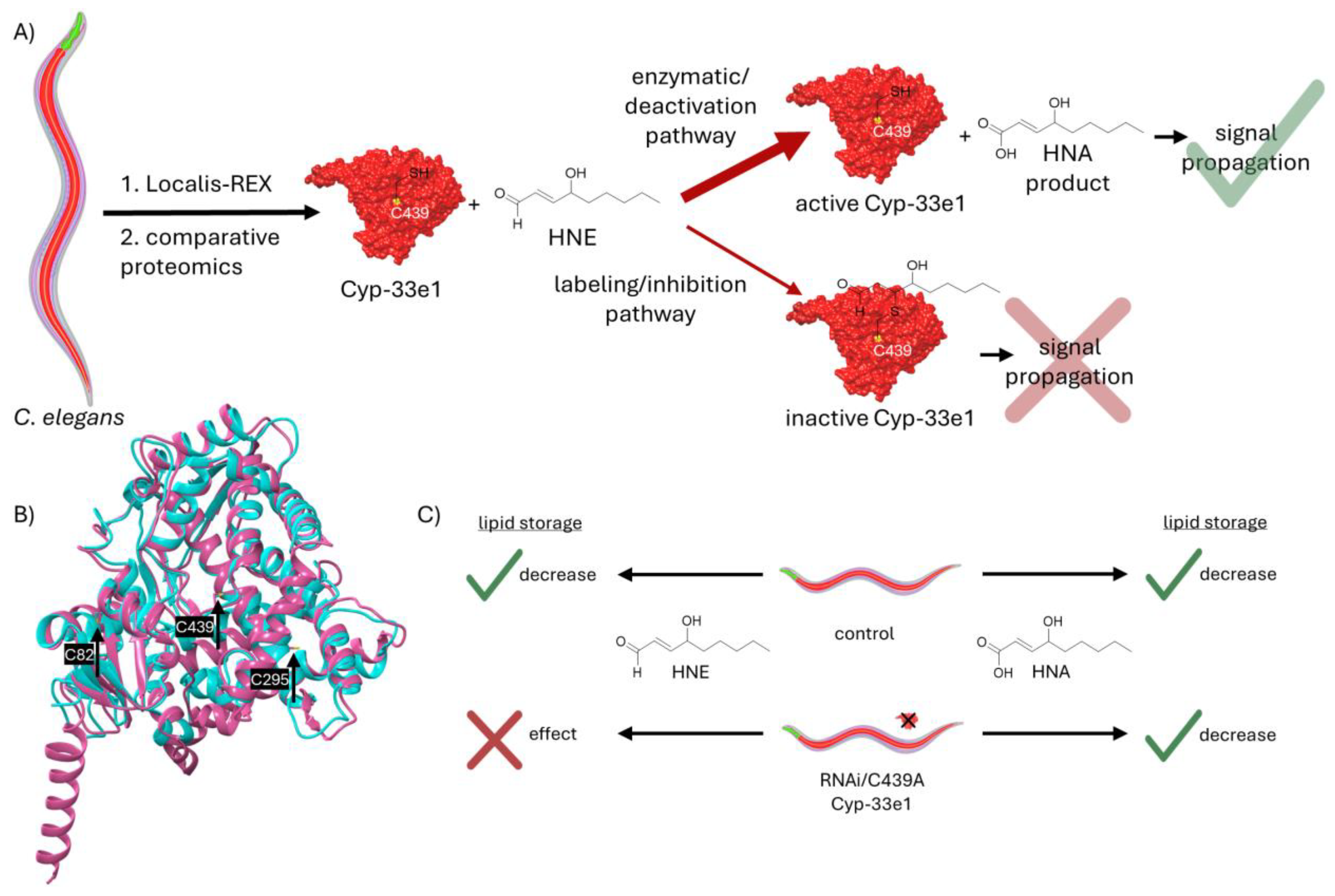Preprints 199961 g003