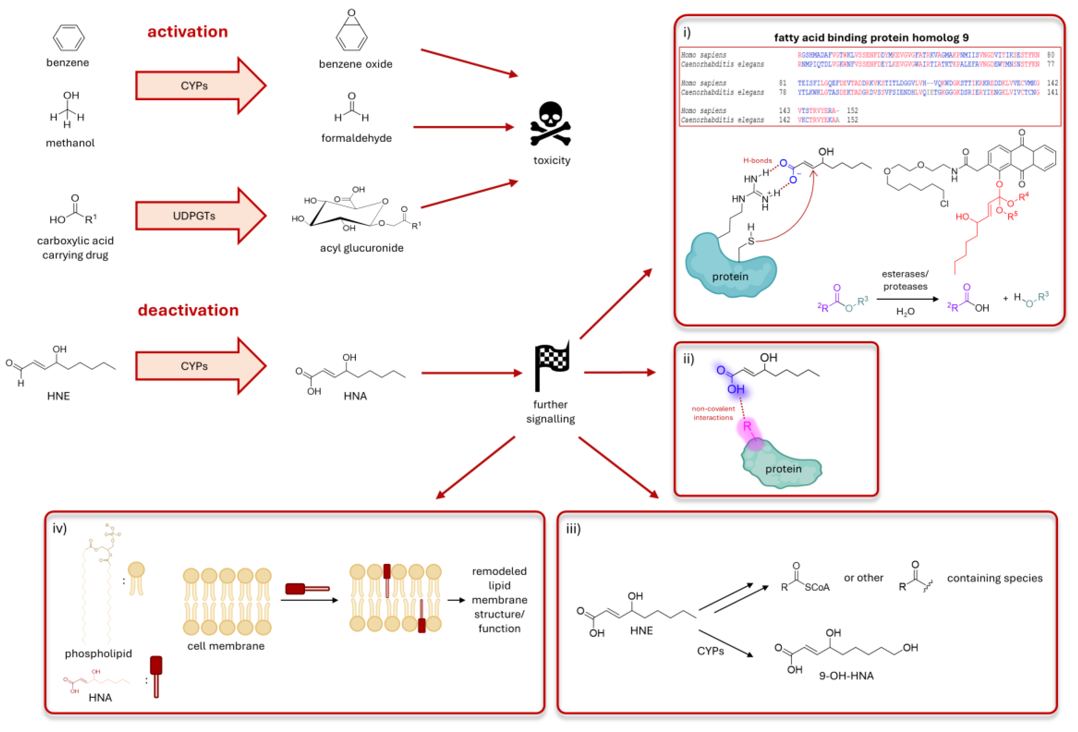 Preprints 199961 g004