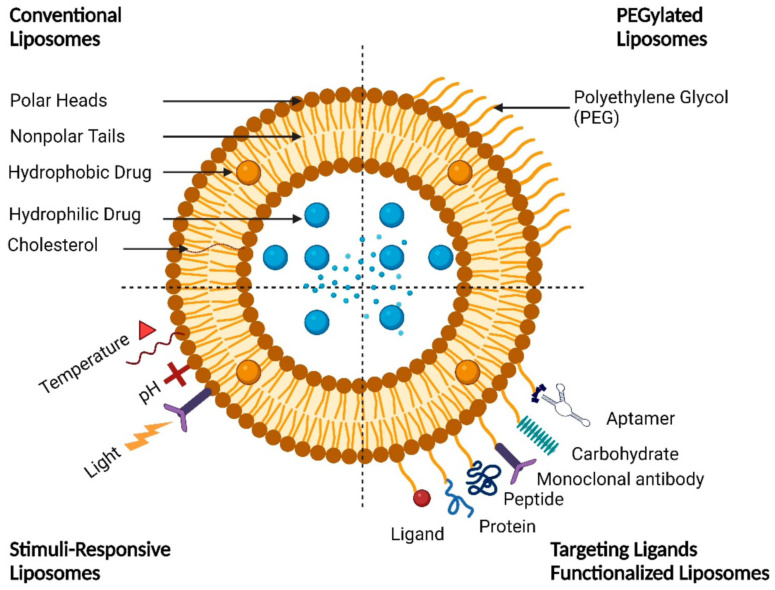 Preprints 93289 g005