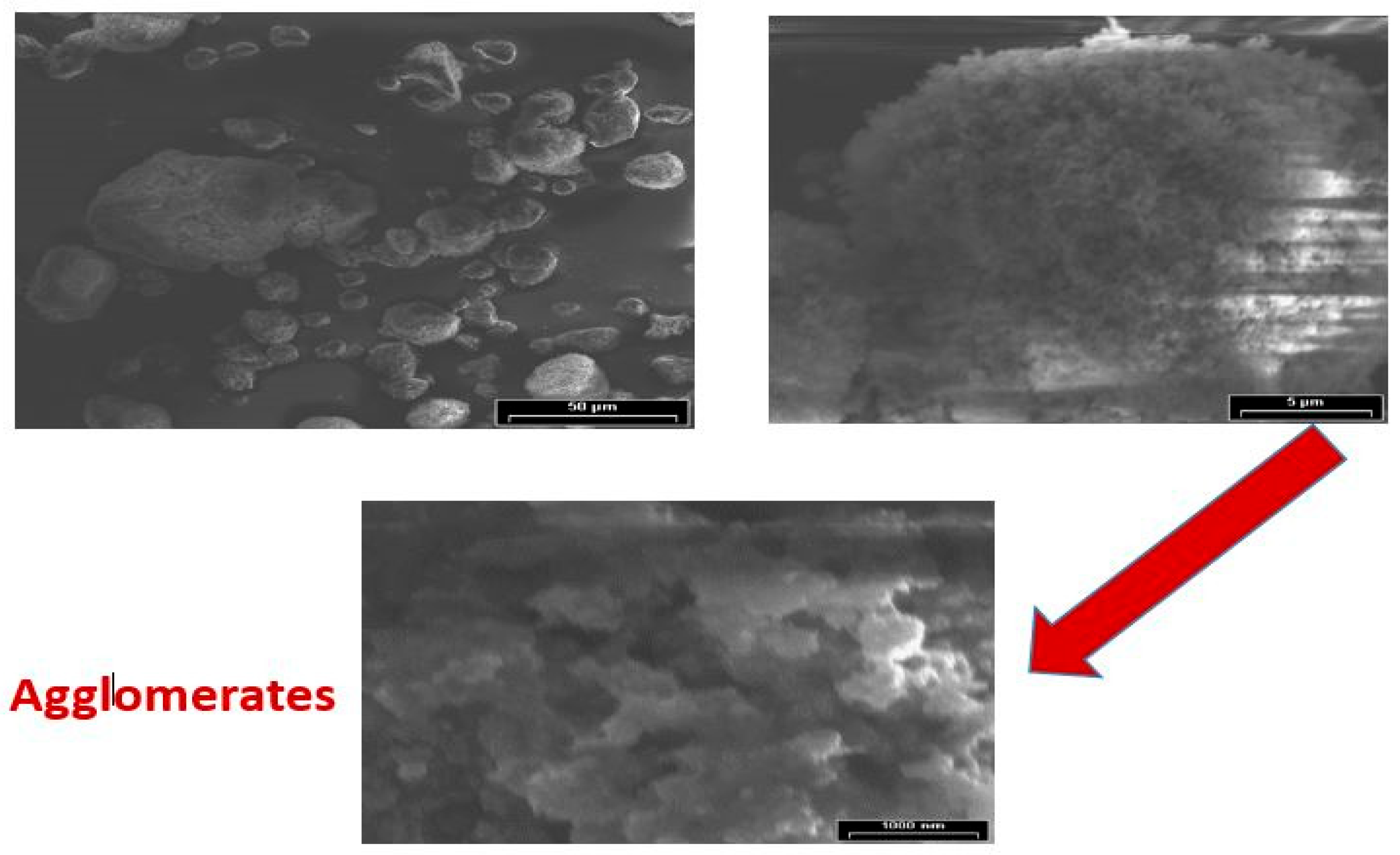 Preprints 154973 g011