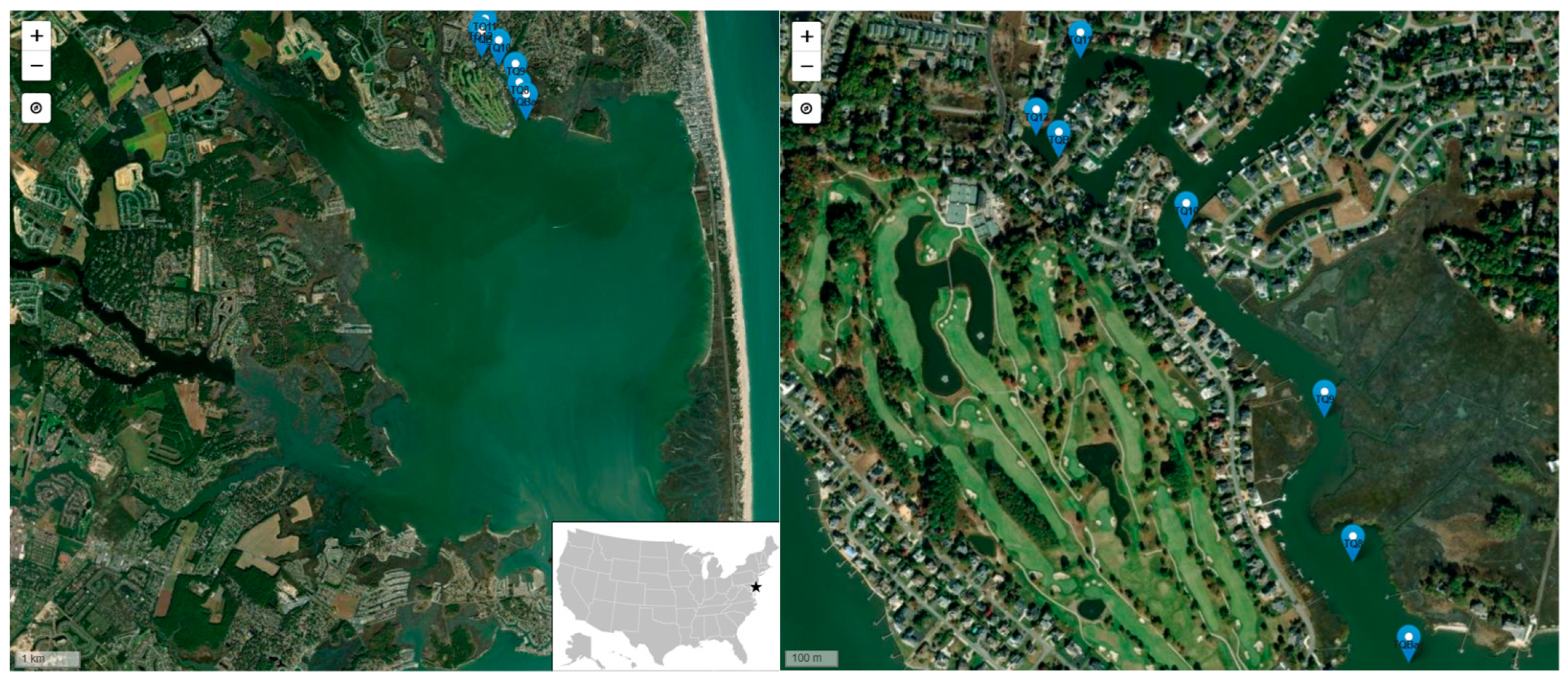 Preprints 168738 g001