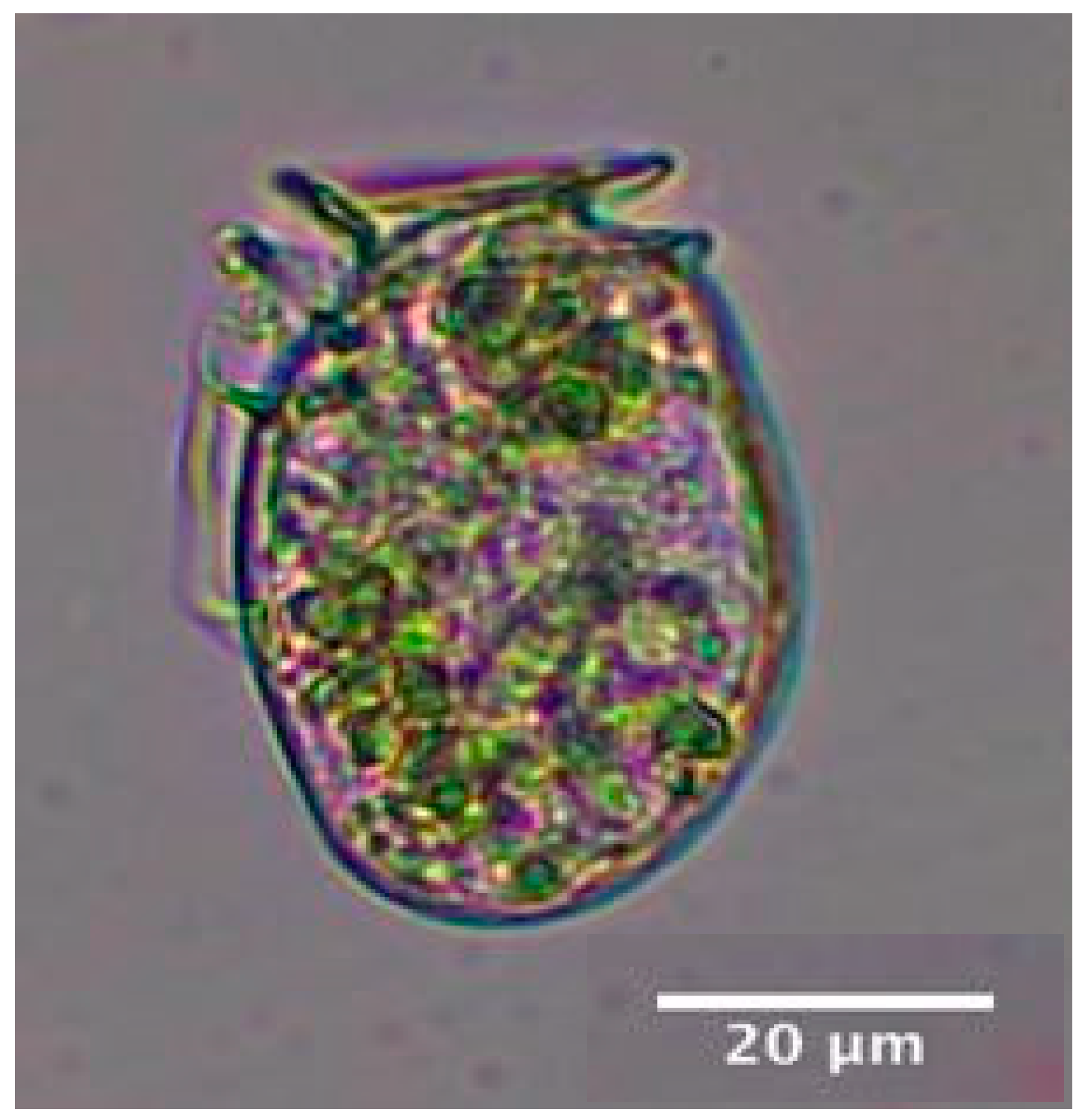 Preprints 168738 g002