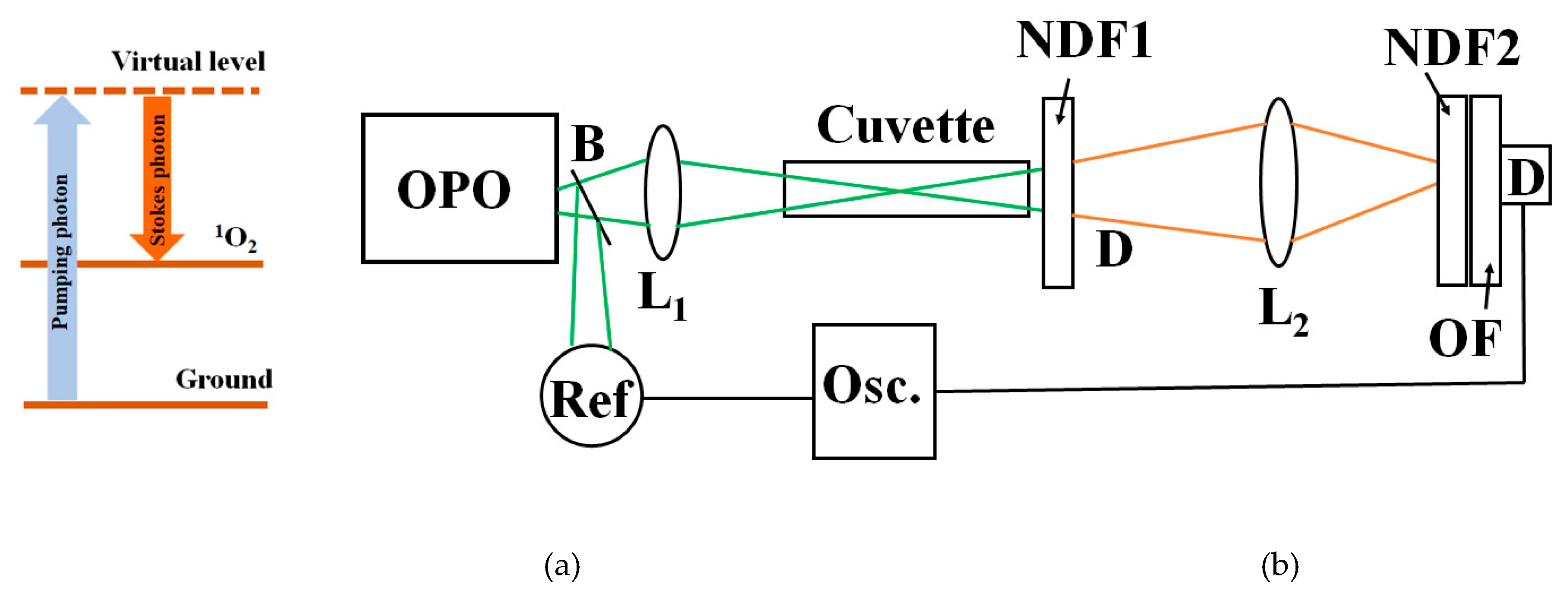 Preprints 170279 g001