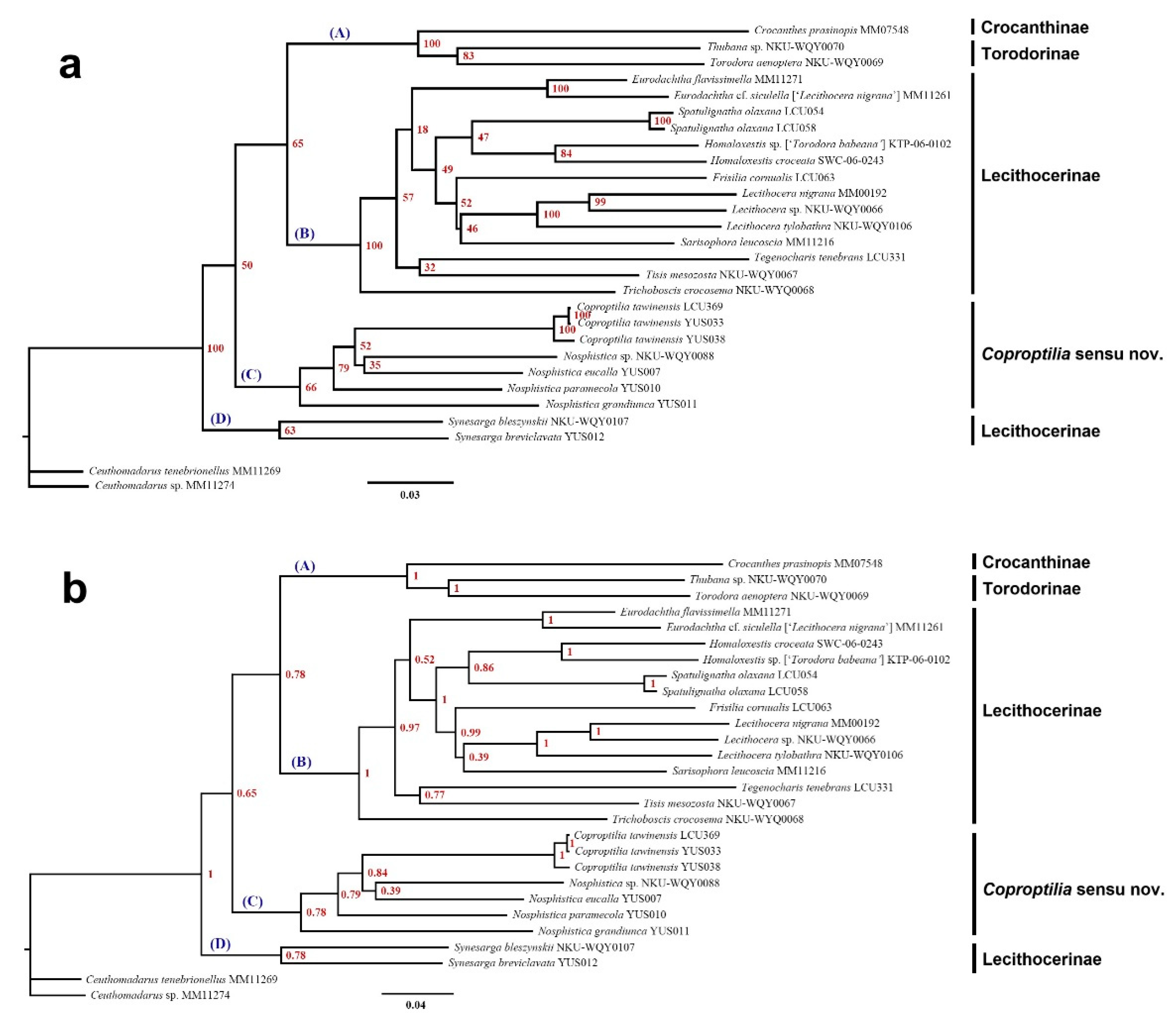 Preprints 146257 g001
