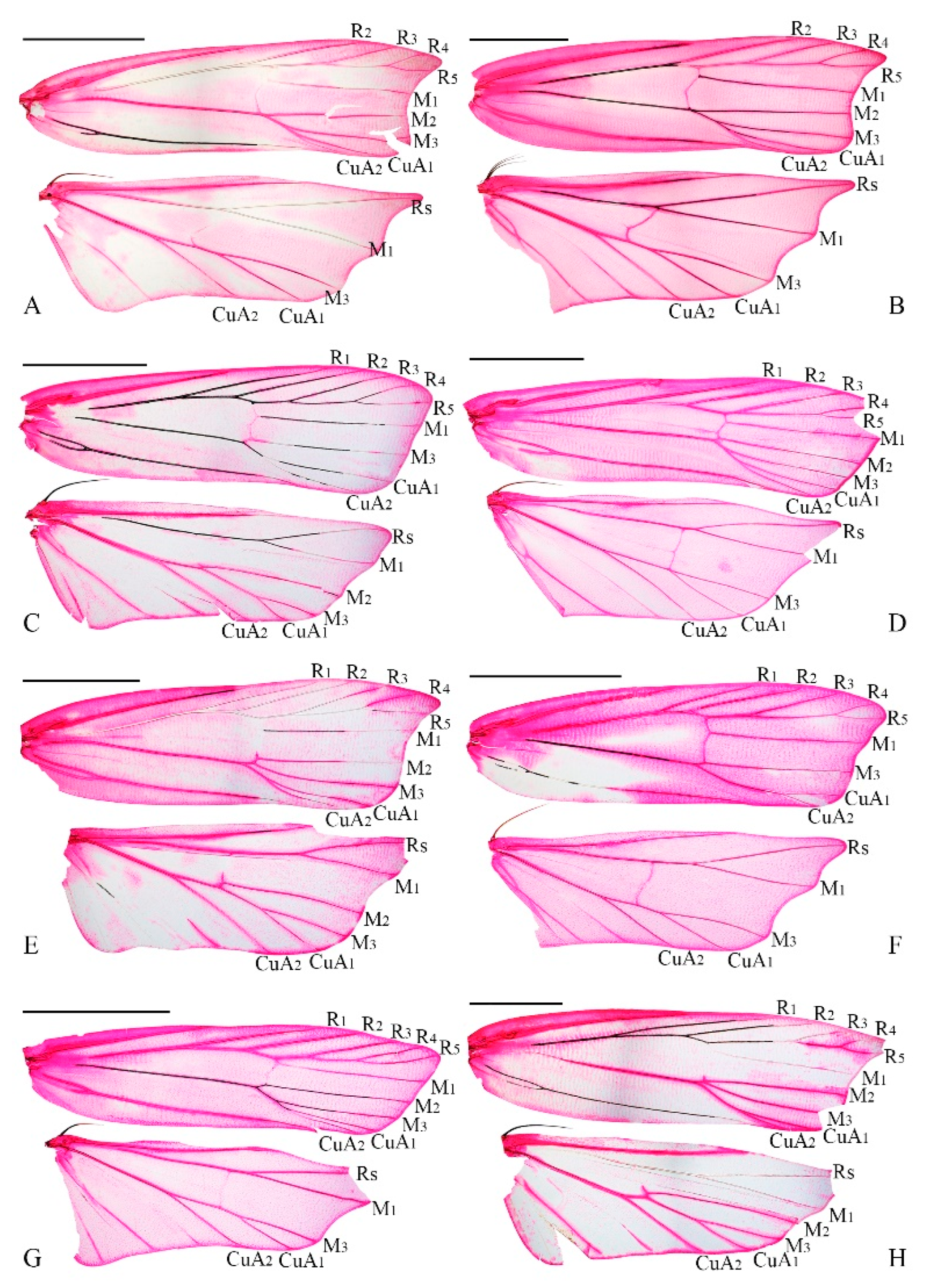 Preprints 146257 g005