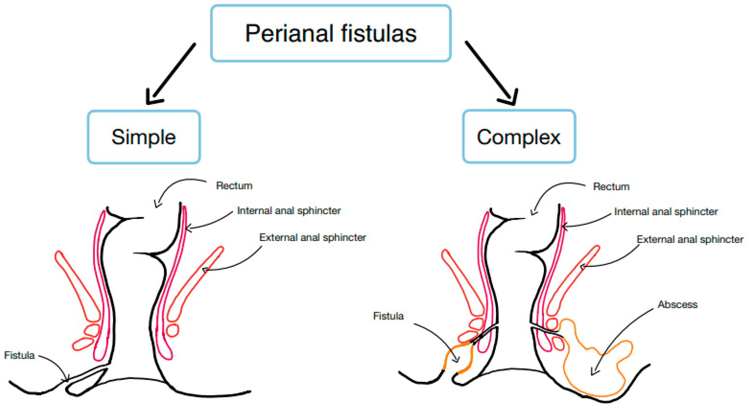 Preprints 147295 g001