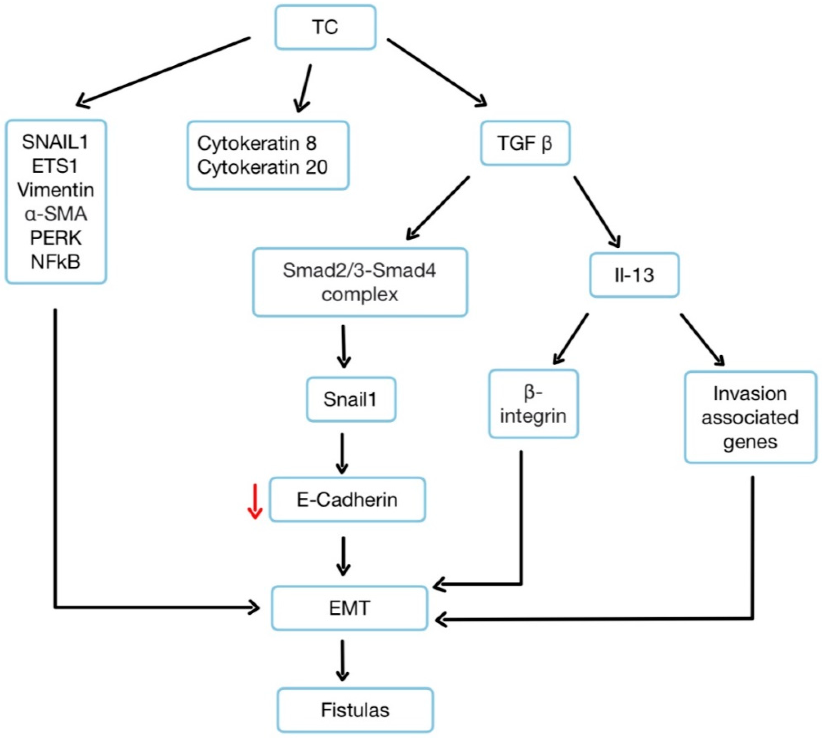 Preprints 147295 g003