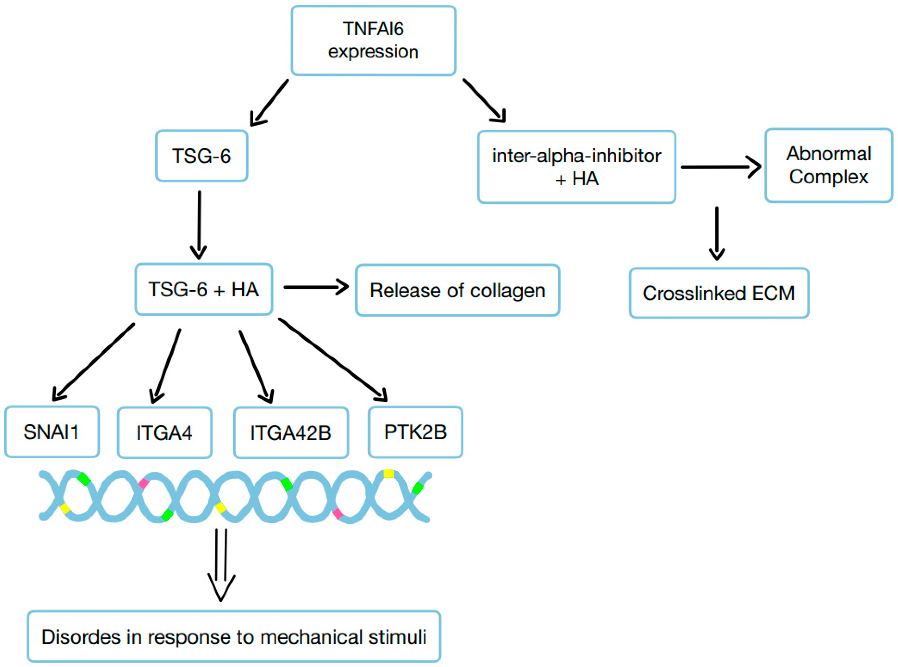 Preprints 147295 g005