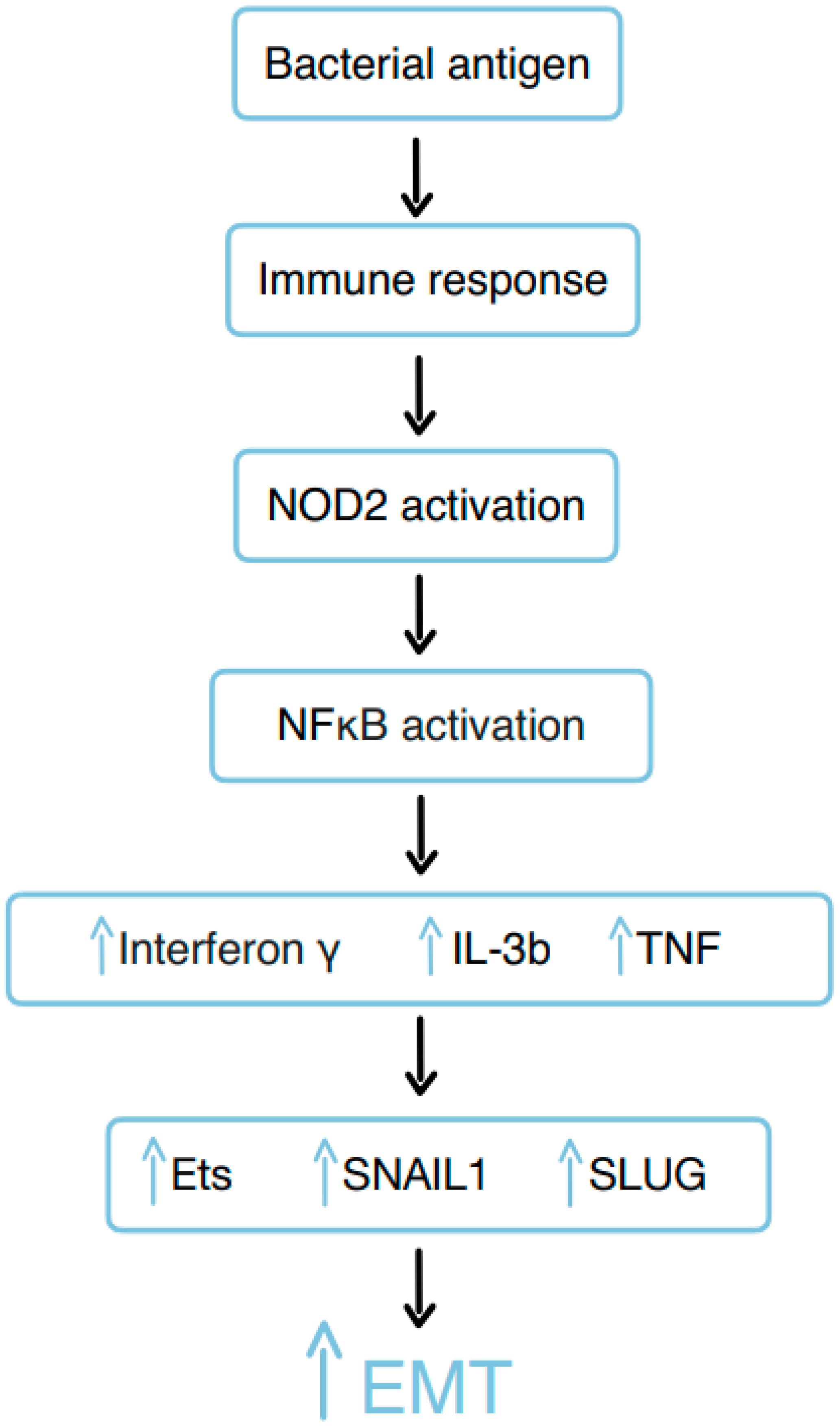 Preprints 147295 g006