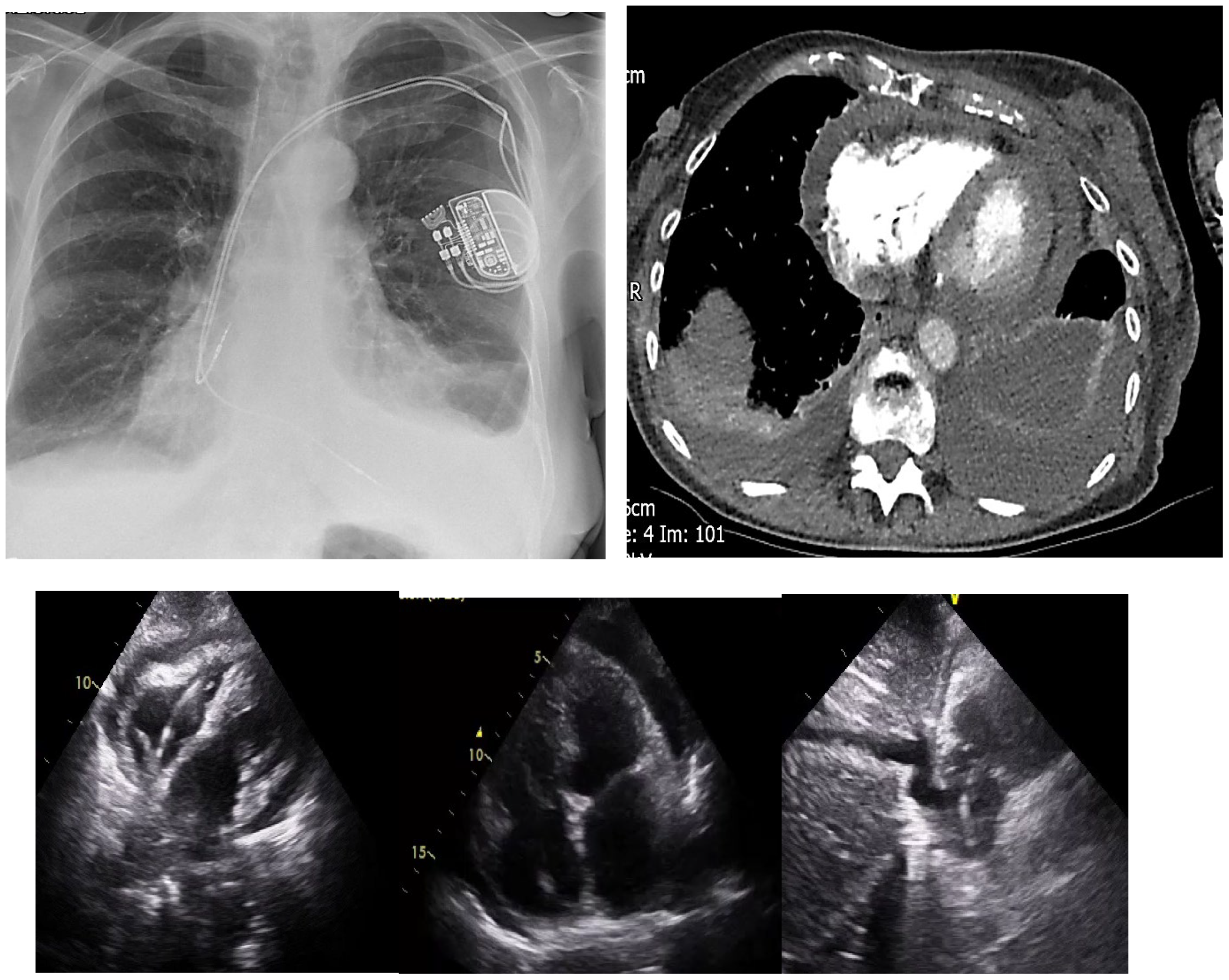 Preprints 119732 g004