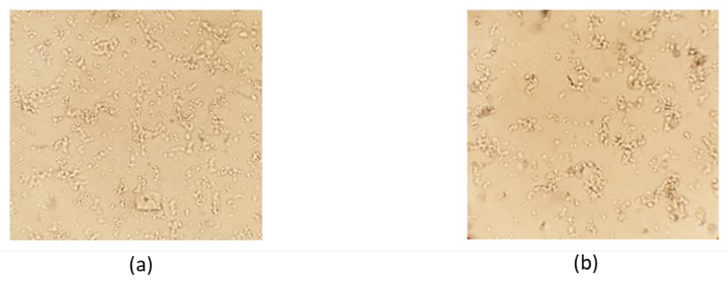 Preprints 177745 g001