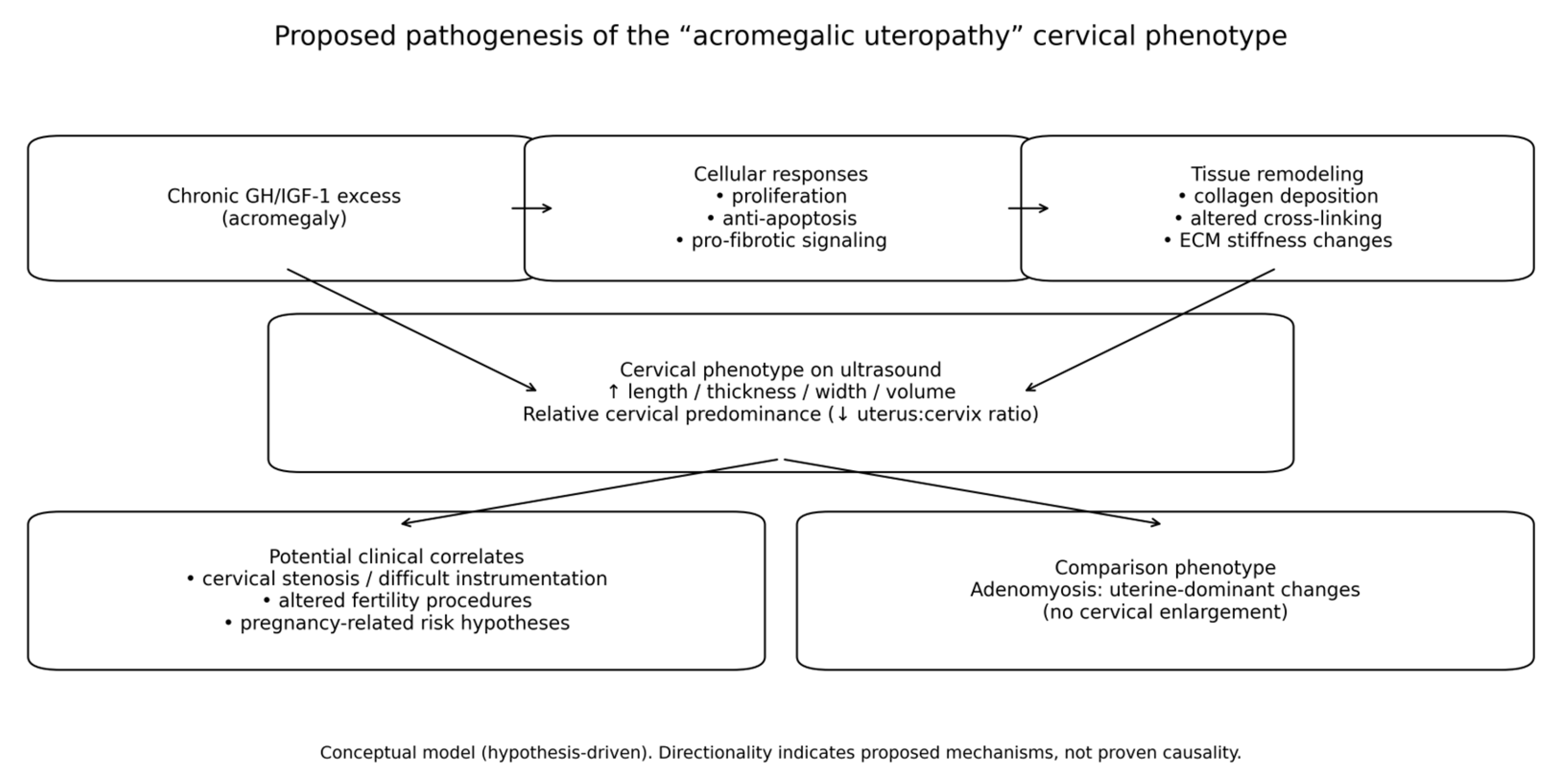 Preprints 196672 g001