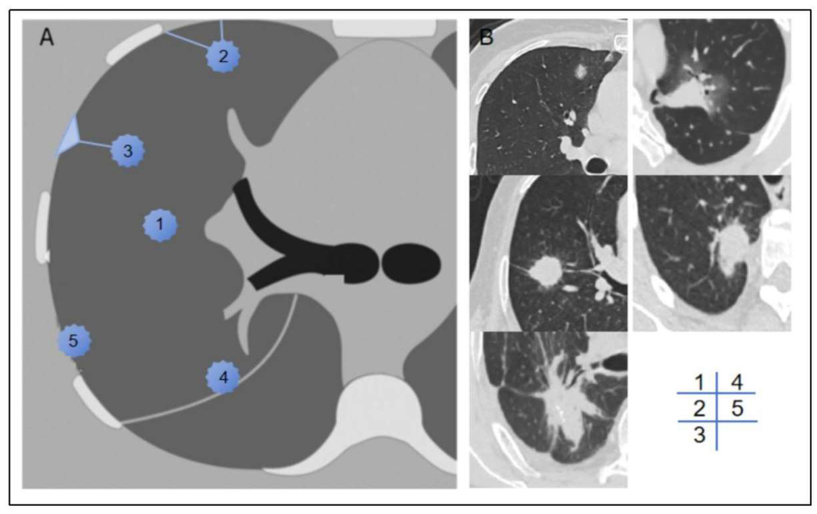 Preprints 149039 g002