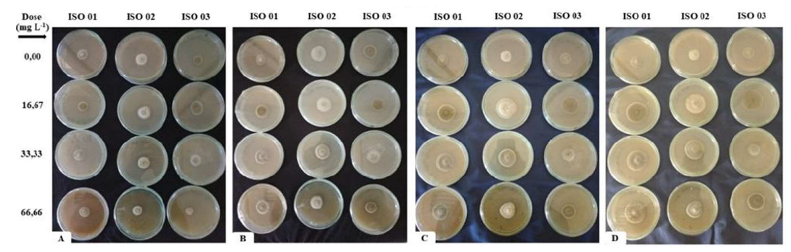 Preprints 161425 g003