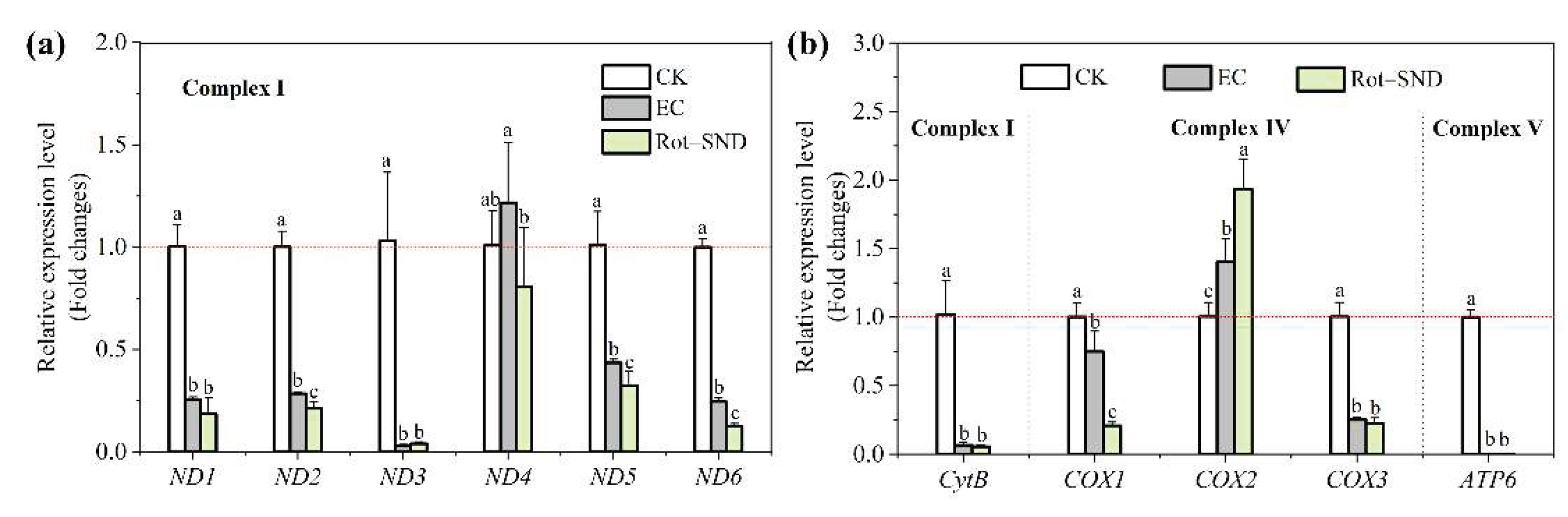 Preprints 166880 g005