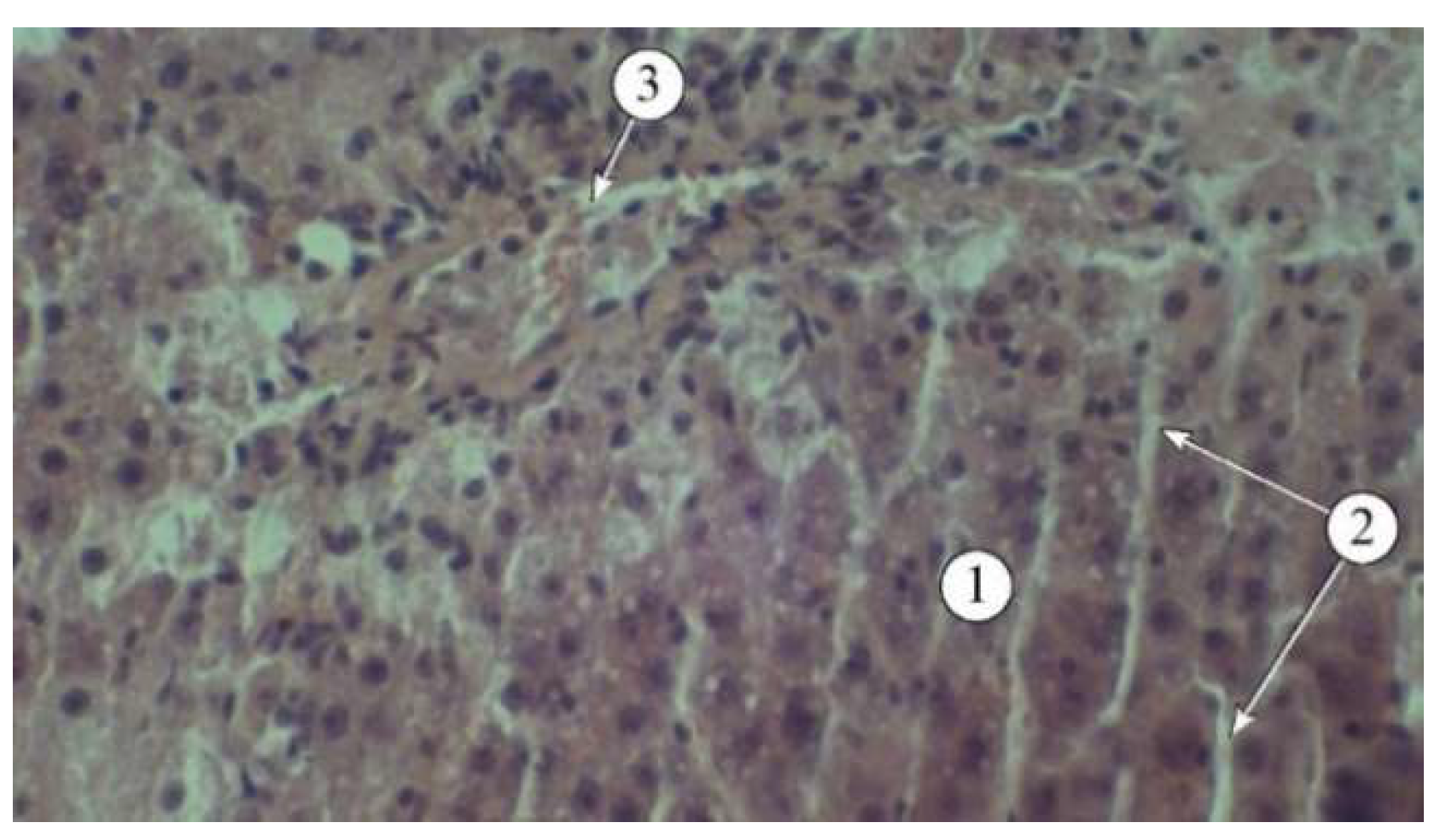 Preprints 140671 g003