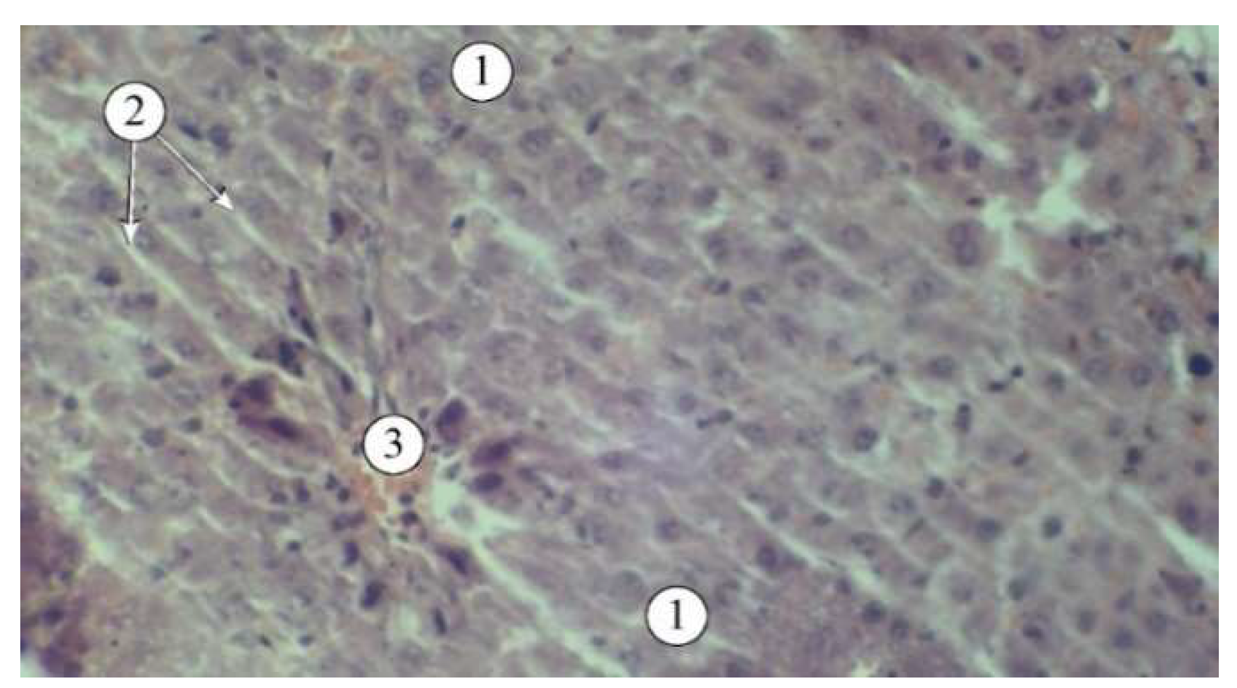 Preprints 140671 g004