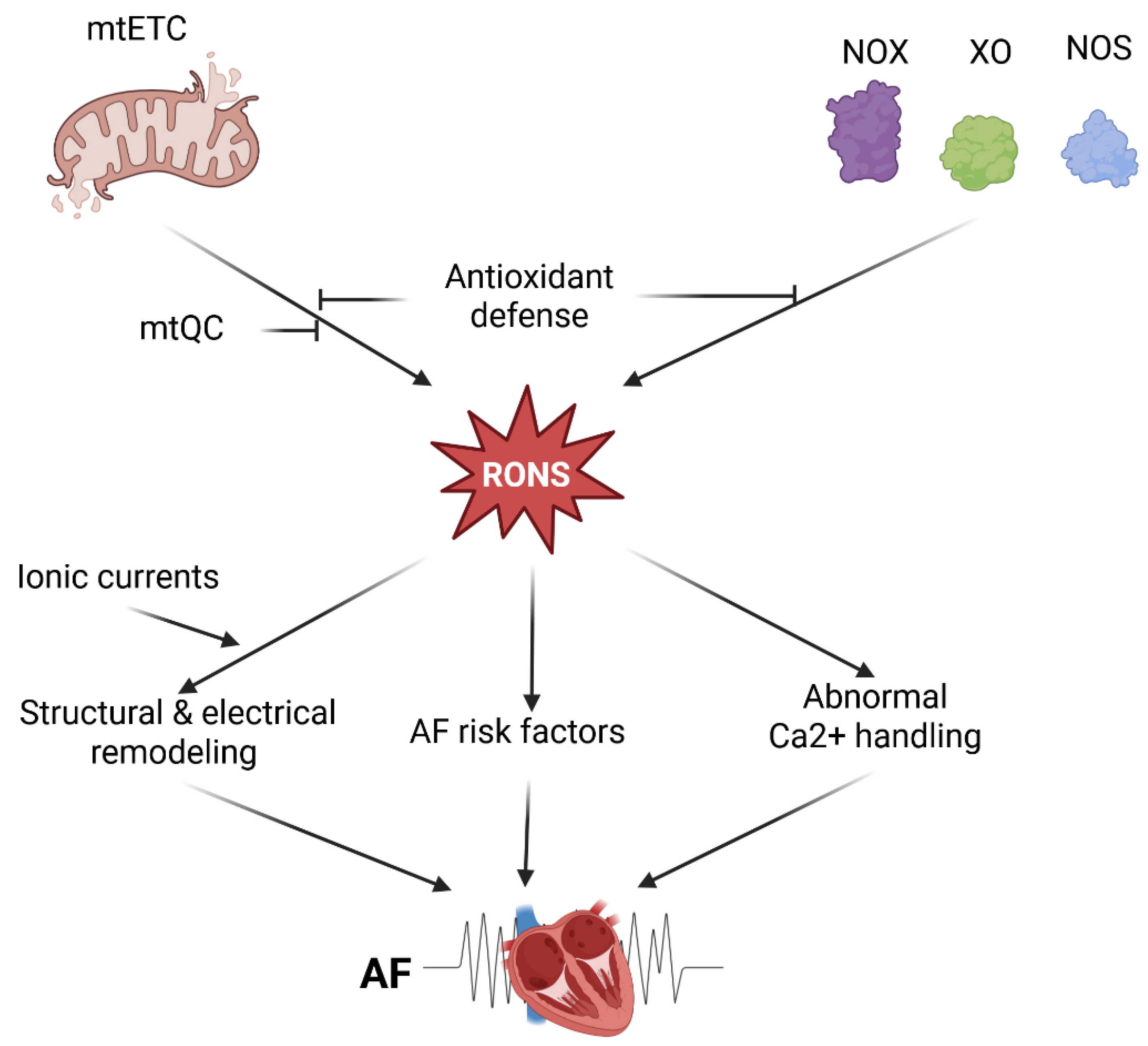 Preprints 186191 g001
