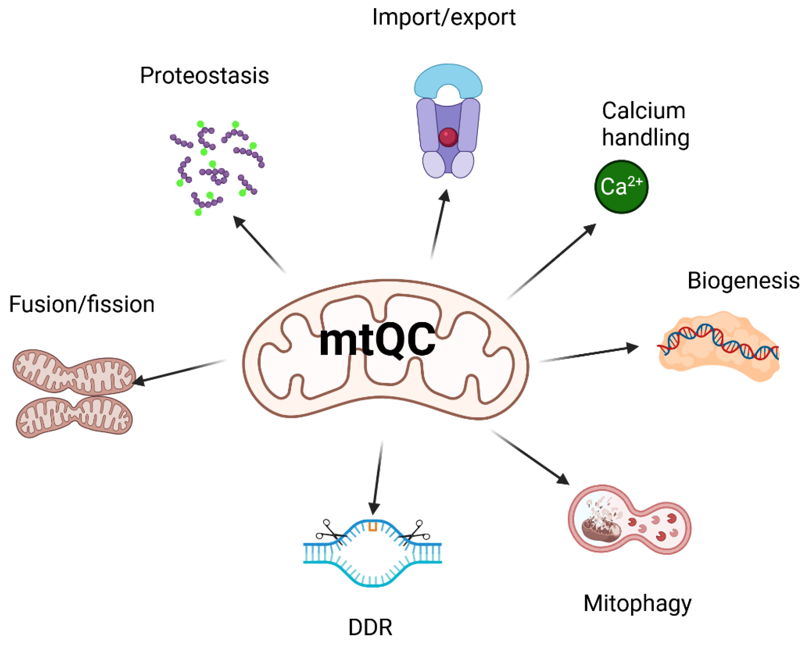 Preprints 186191 g002