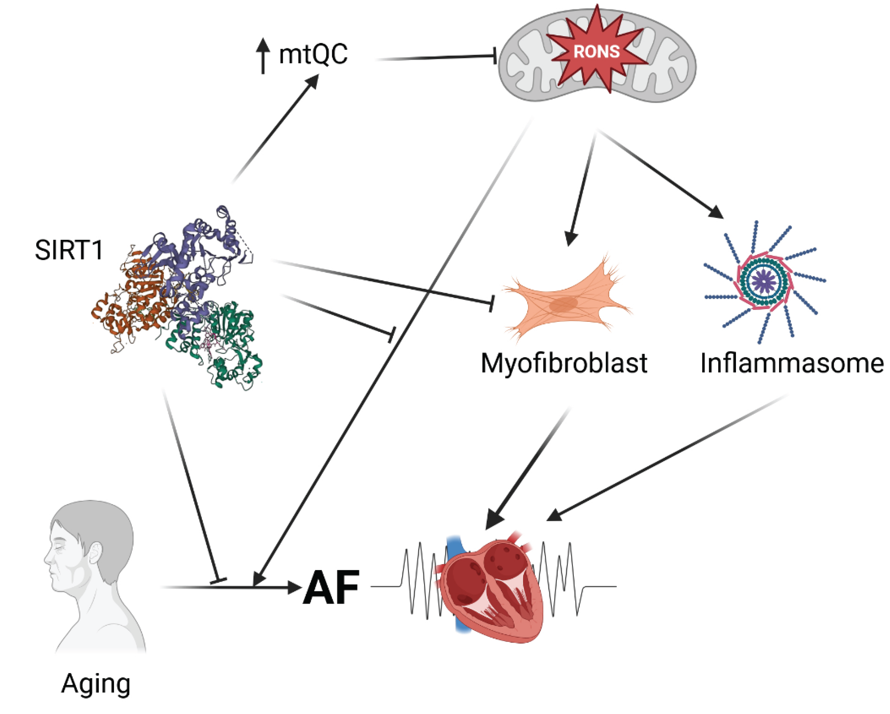 Preprints 186191 g003