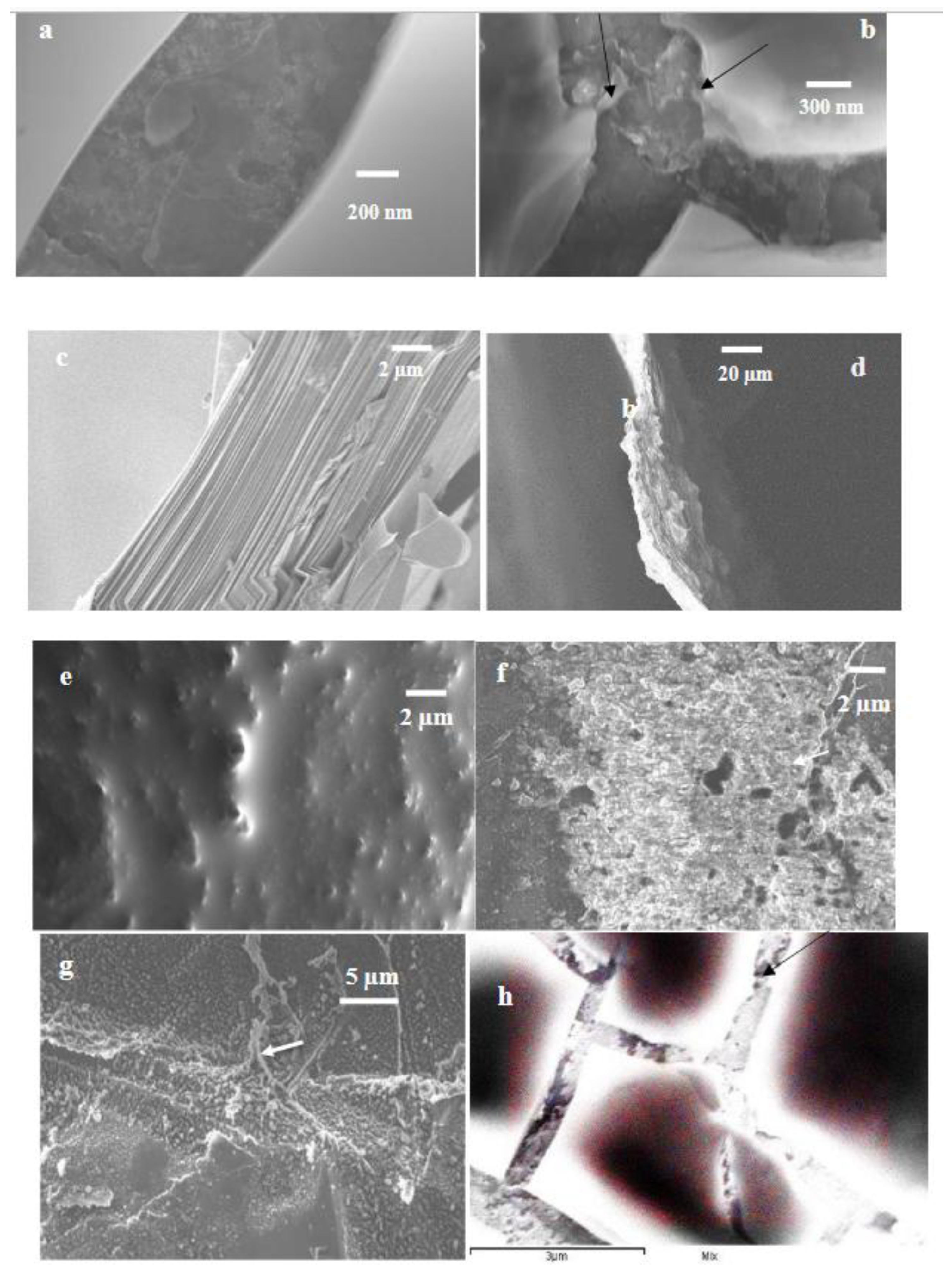 Preprints 186427 g003a
