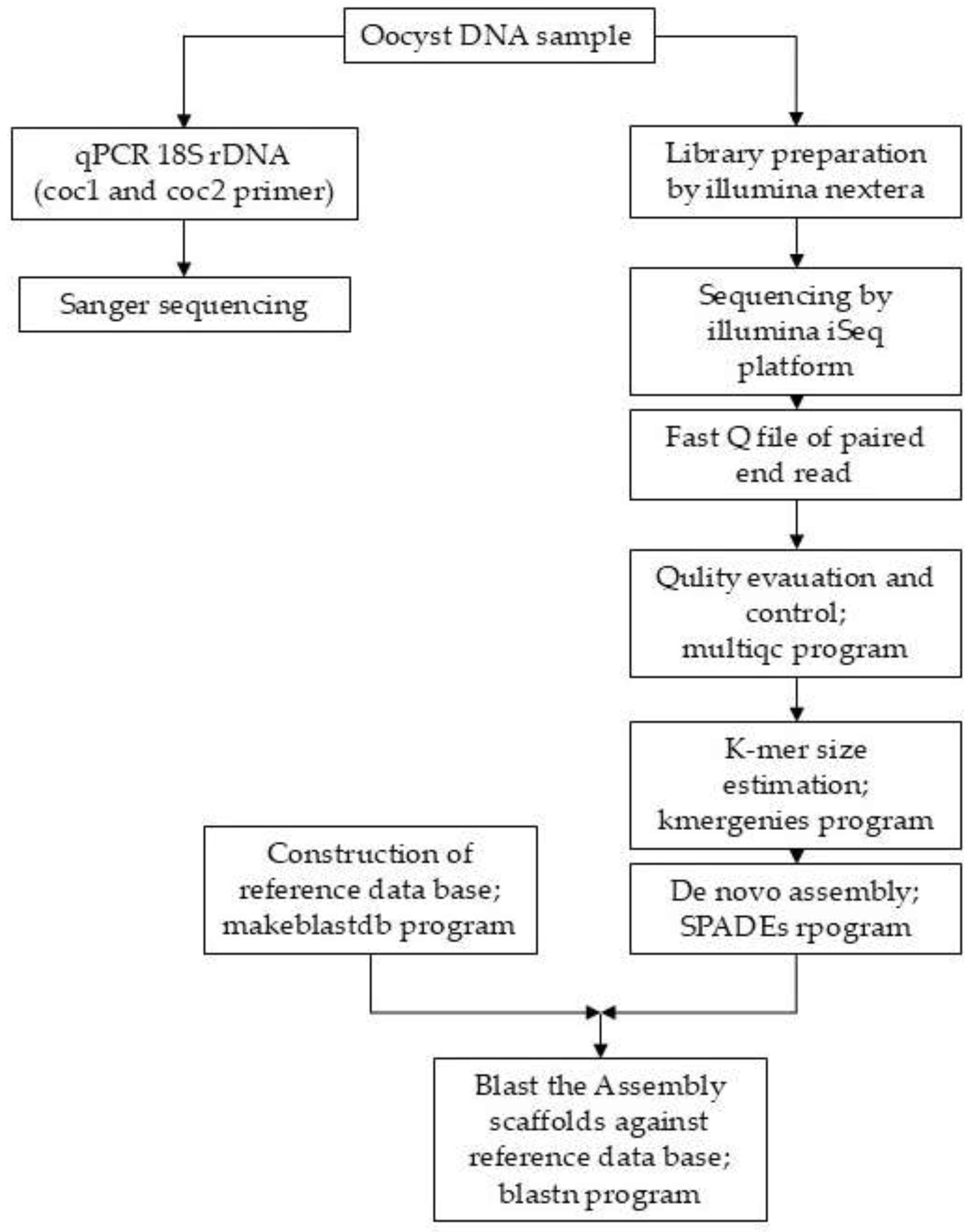 Preprints 195340 g001