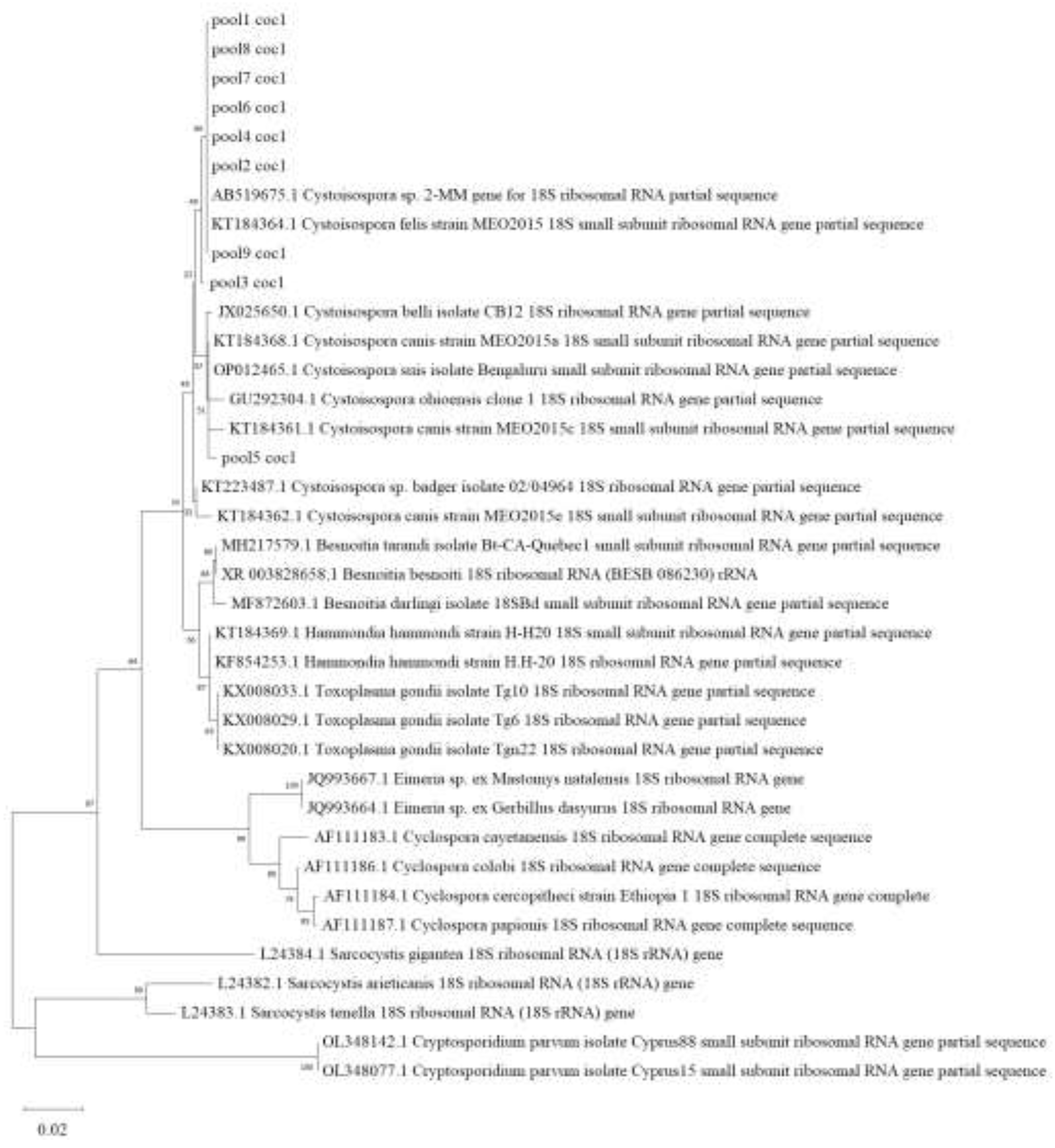 Preprints 195340 g003