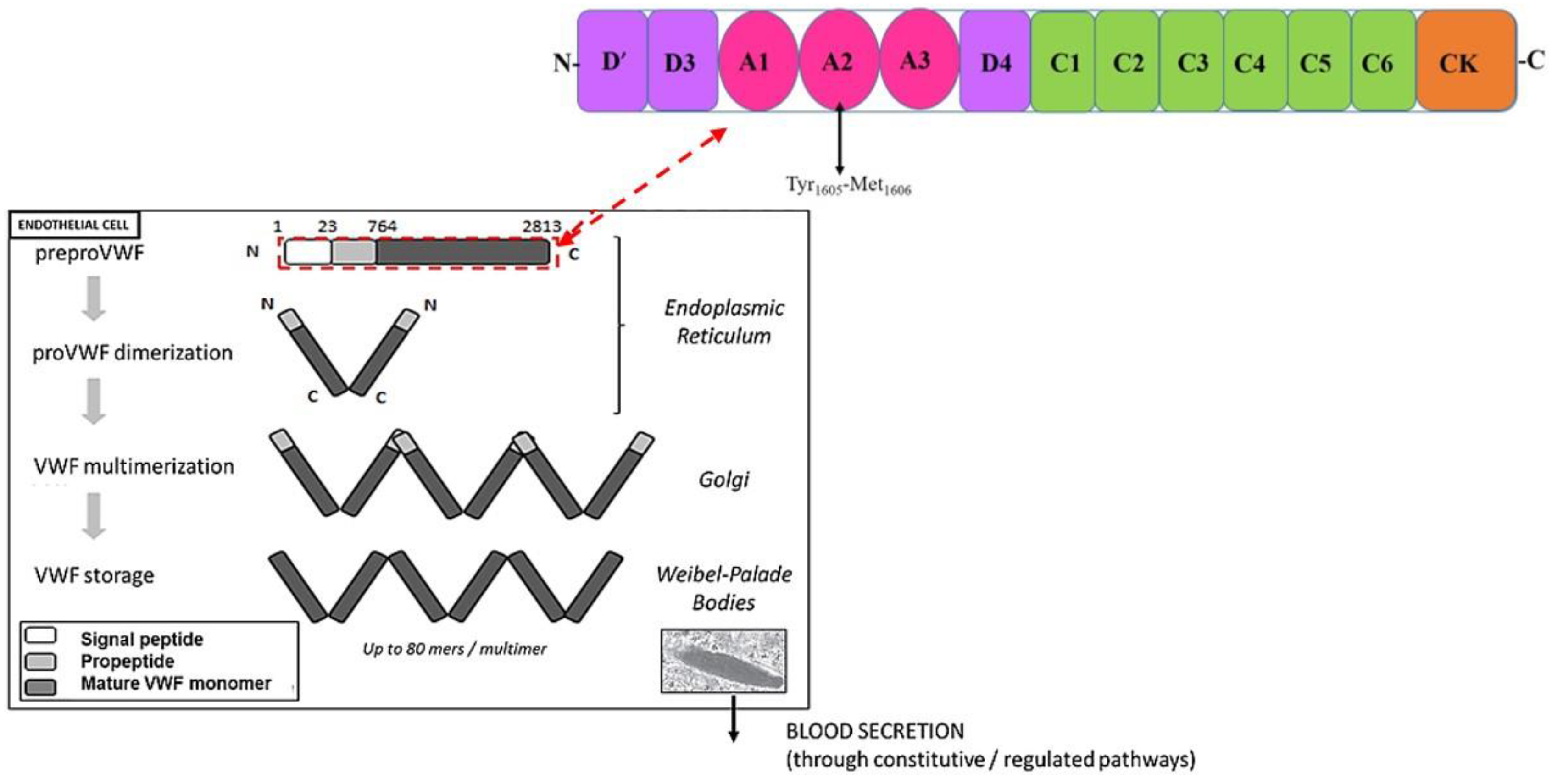 Preprints 151834 g002