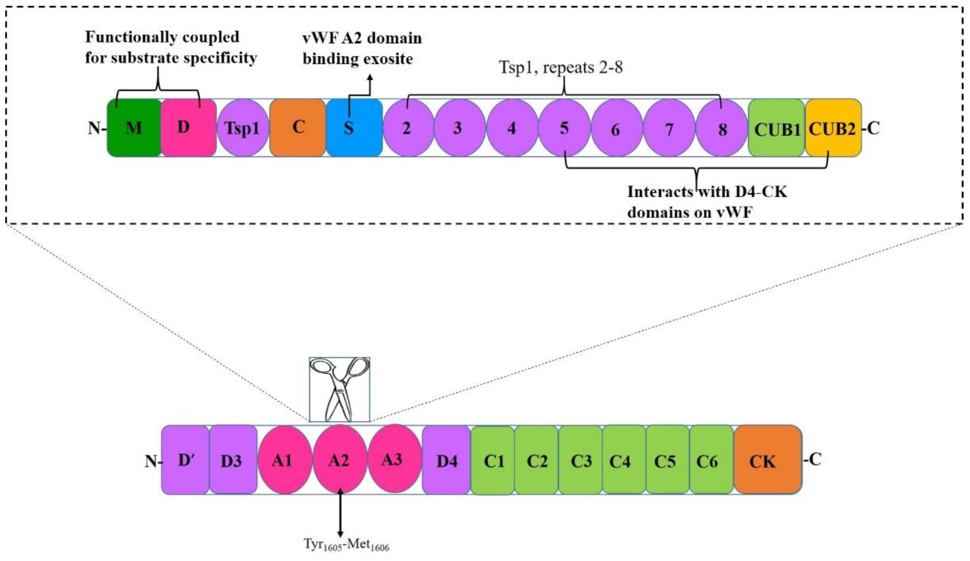 Preprints 151834 g004