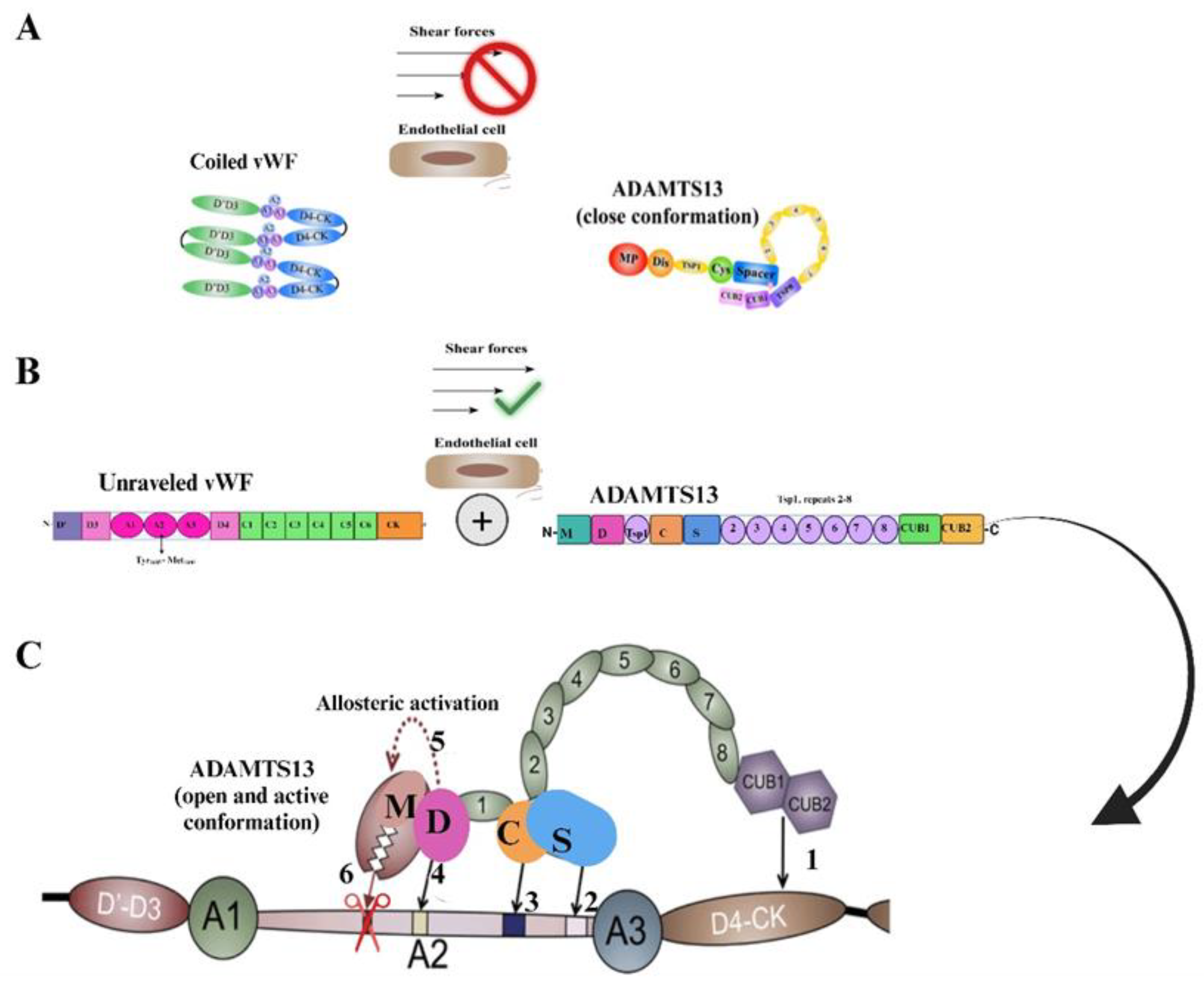 Preprints 151834 g005
