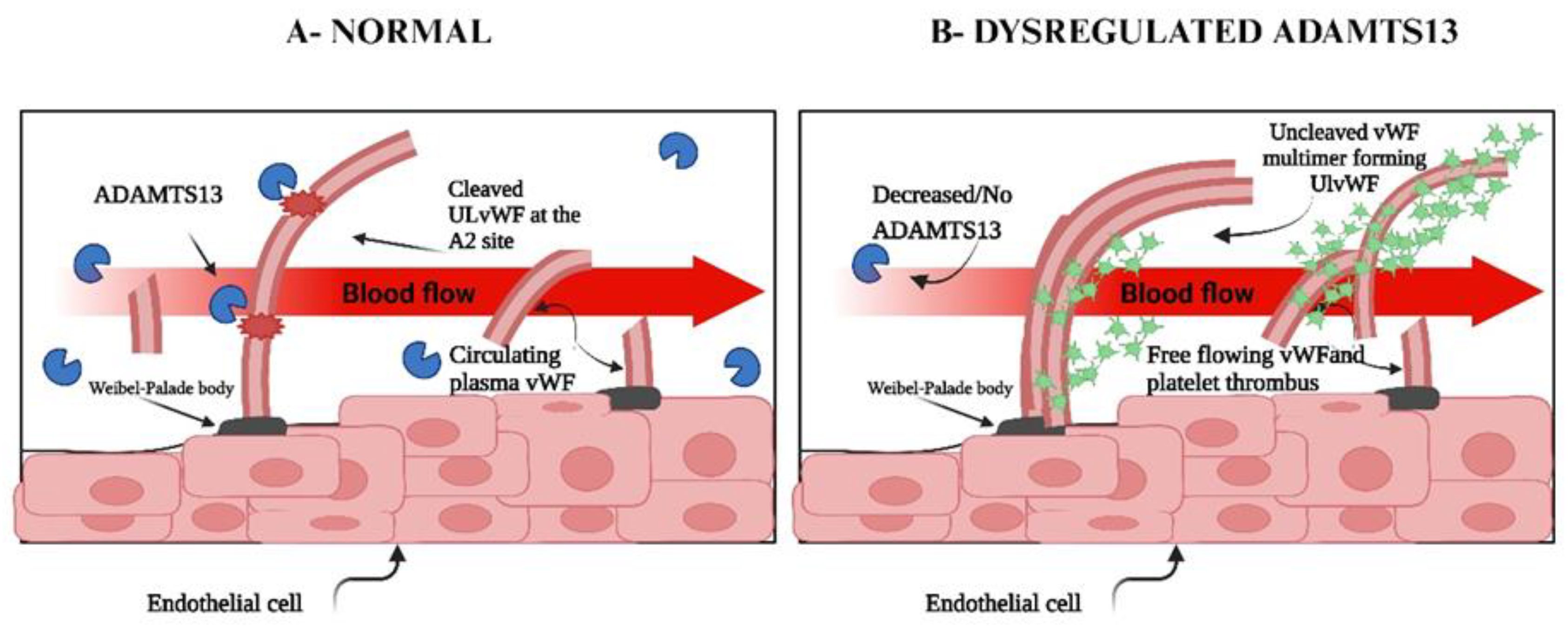 Preprints 151834 g007