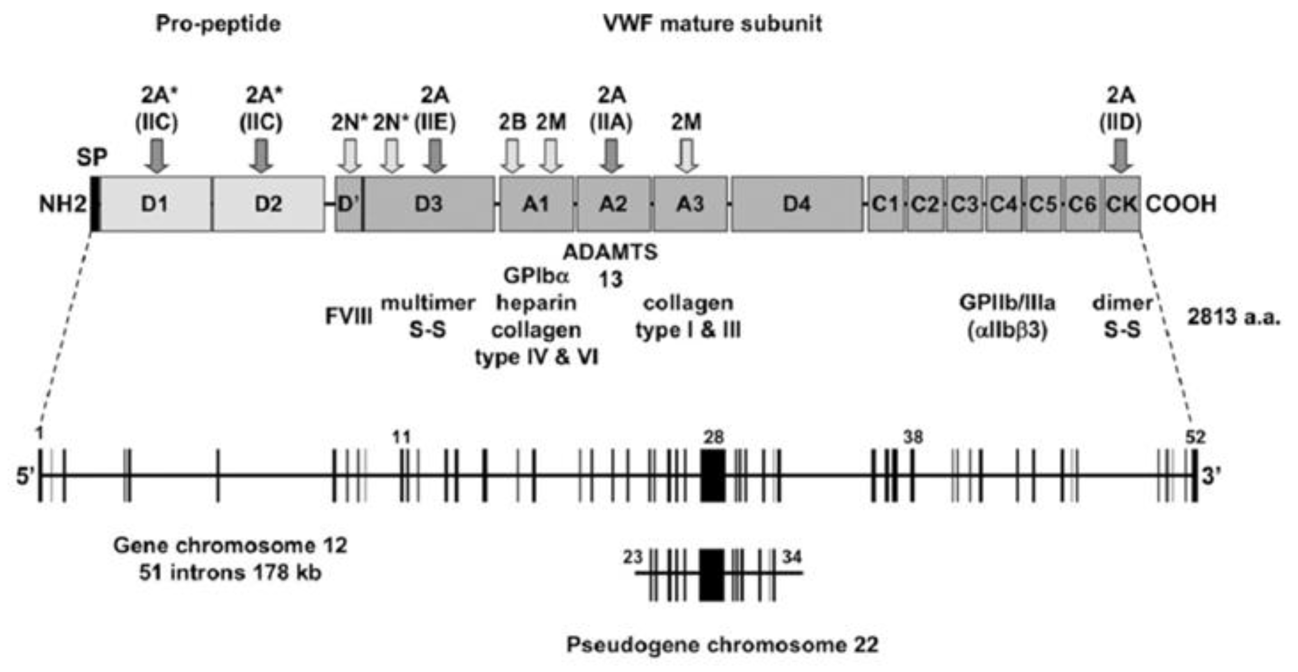Preprints 151834 g008