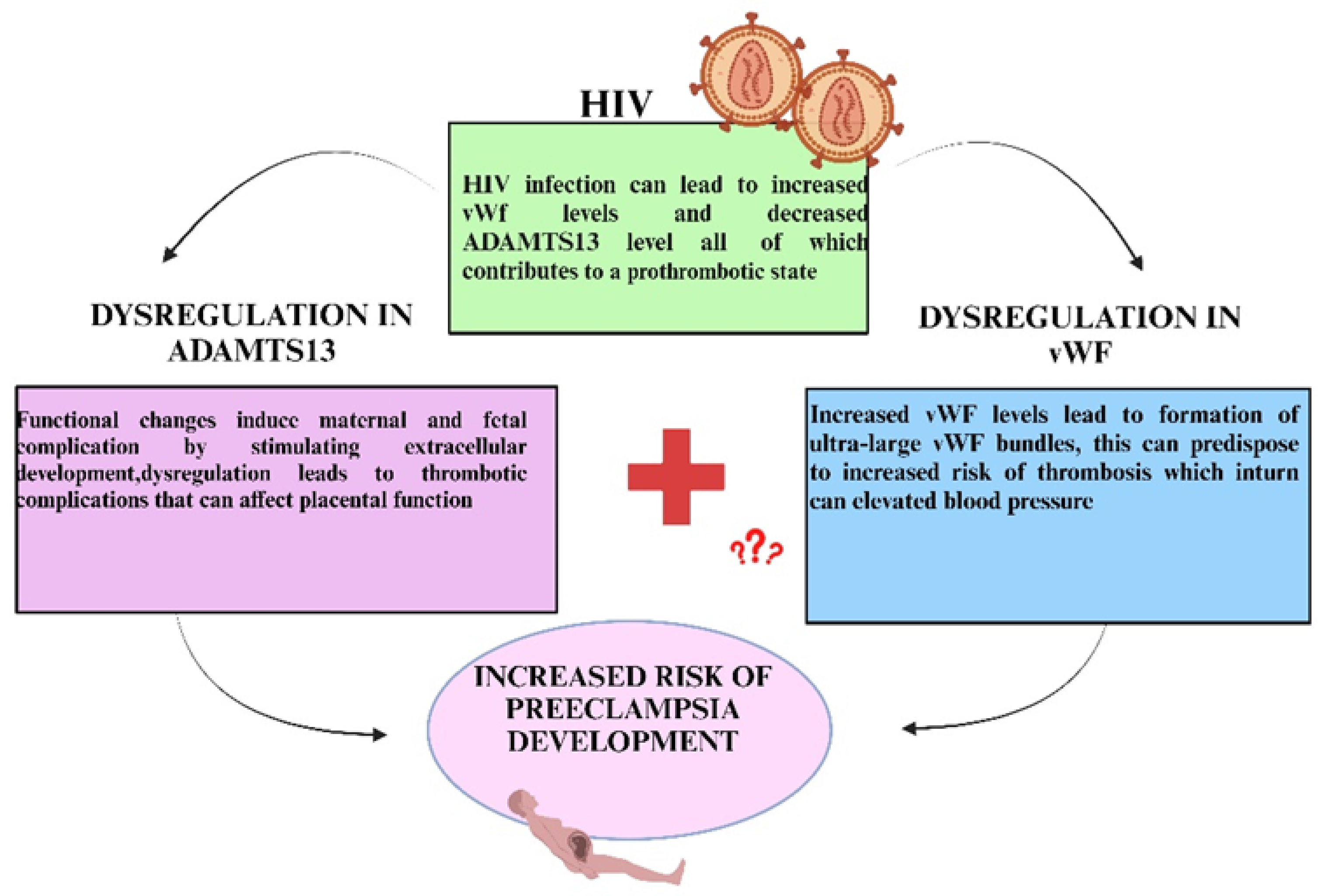 Preprints 151834 g010