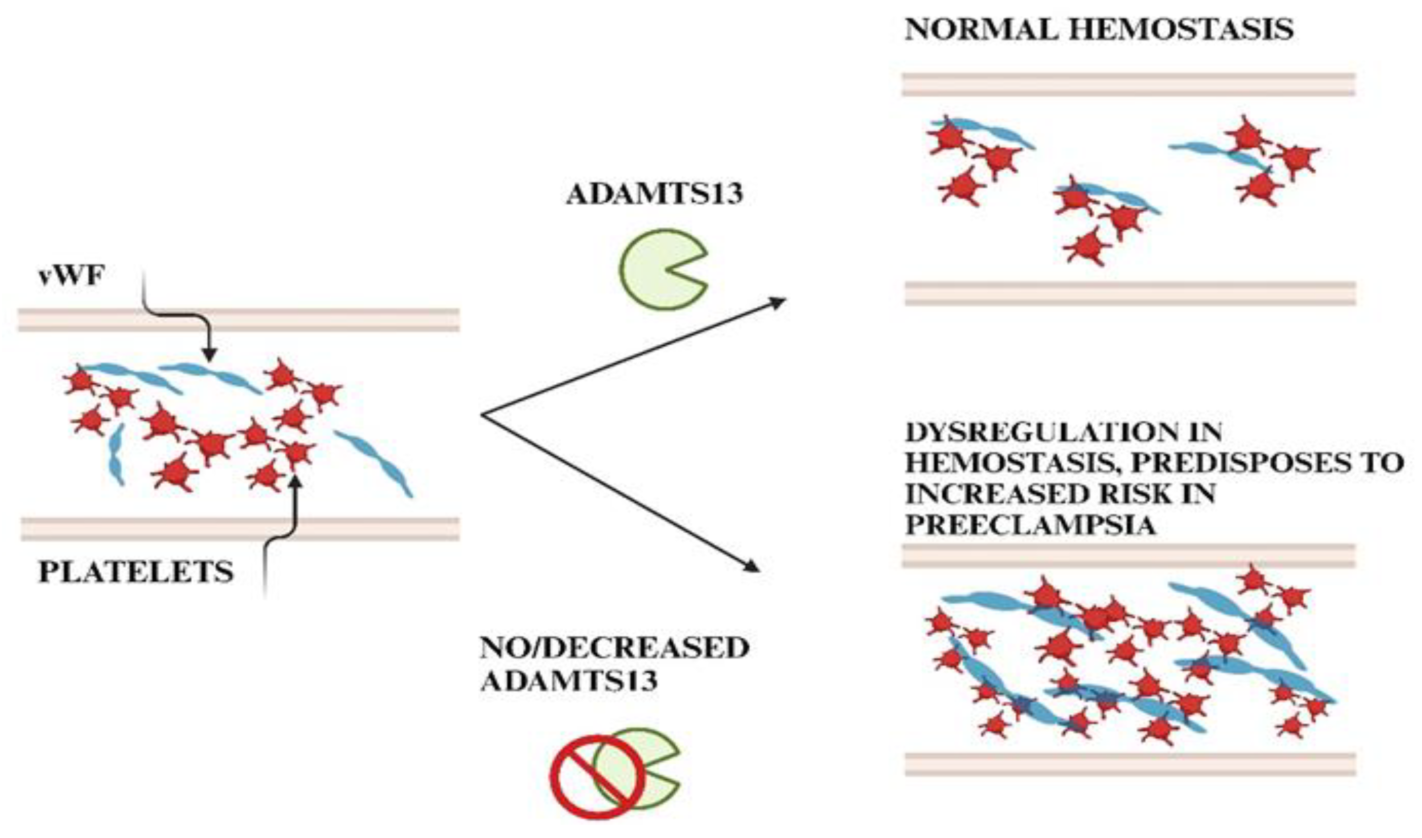 Preprints 151834 g011
