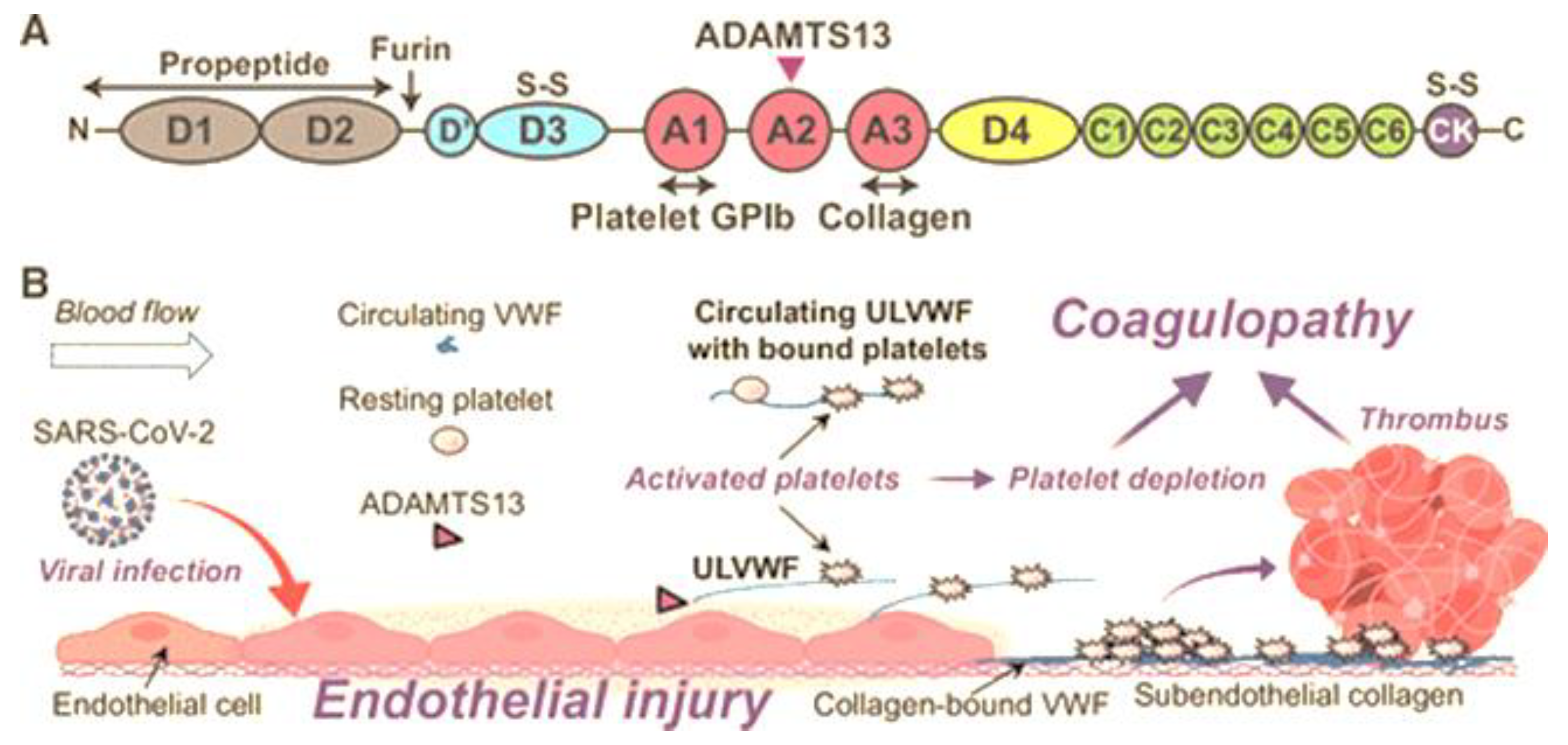 Preprints 151834 g012