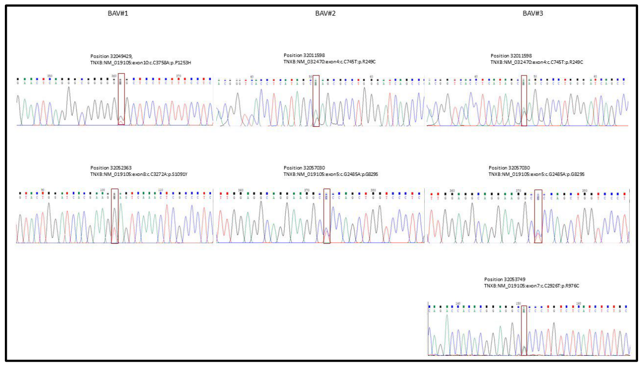 Preprints 236170 g004 Preprints 236170 g004