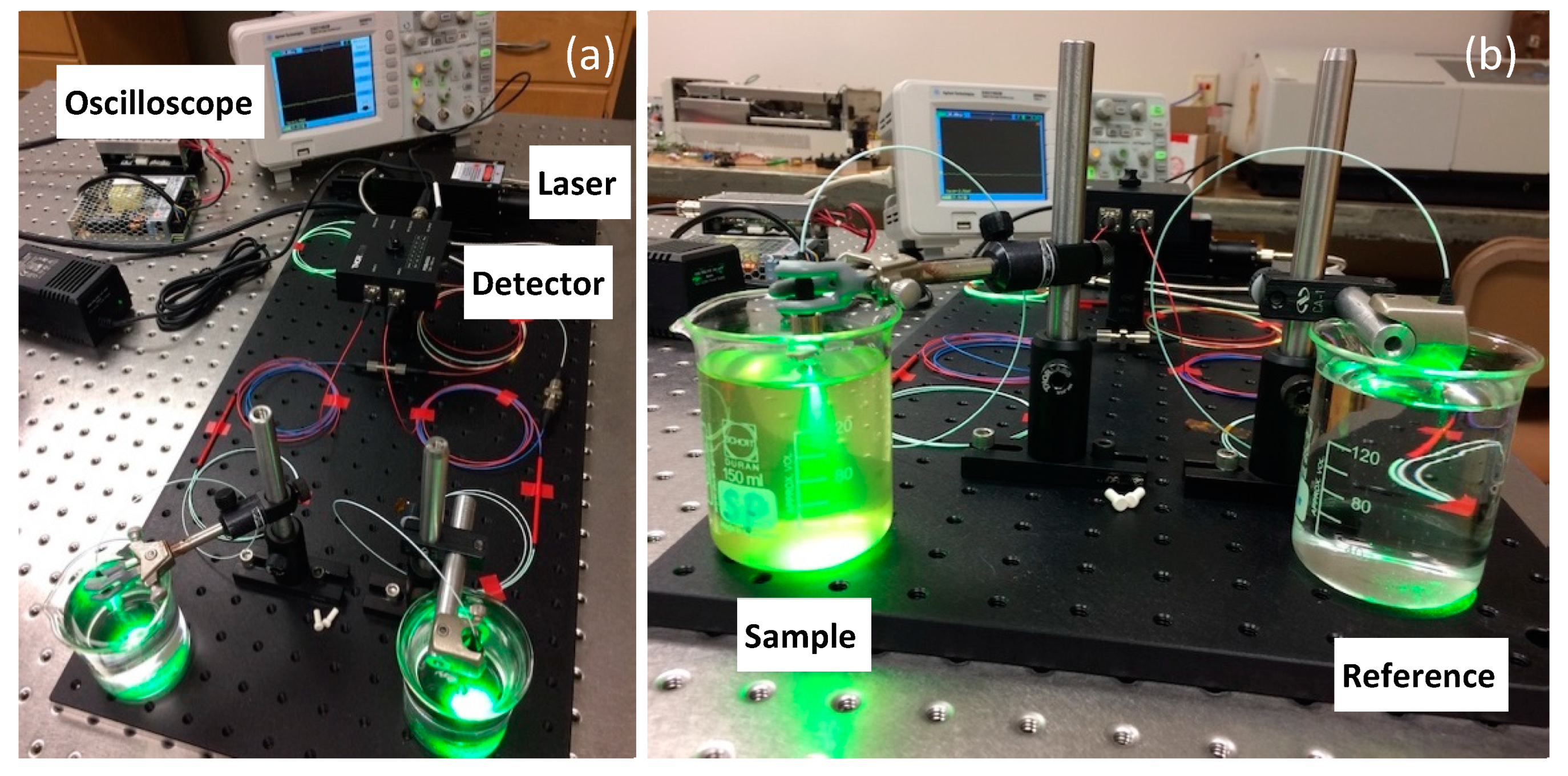 Preprints 78897 g002
