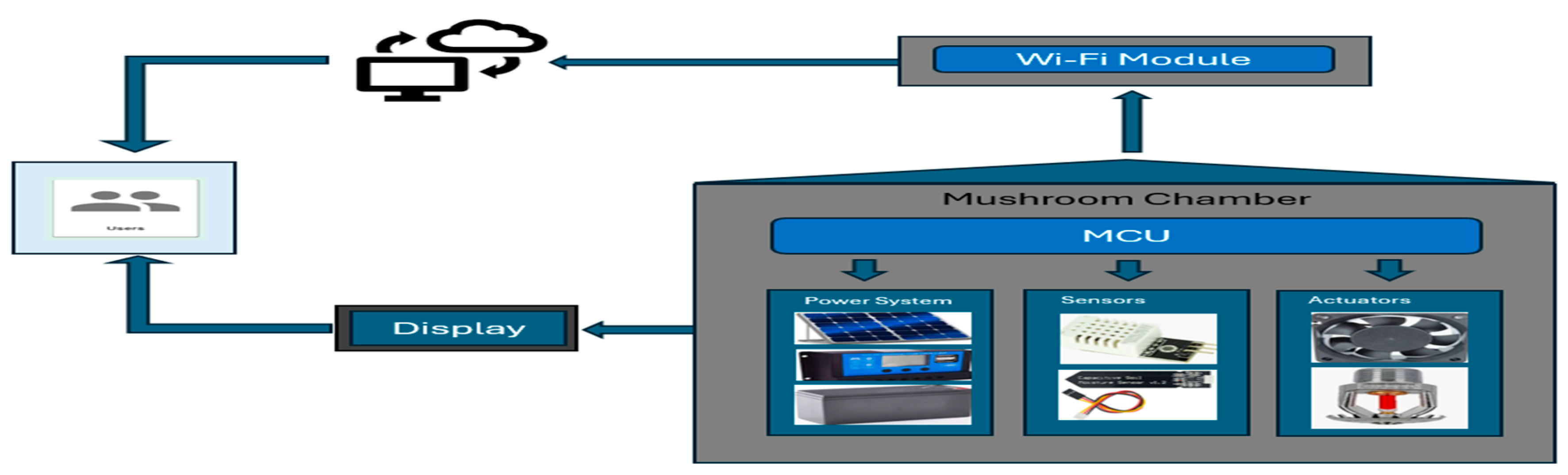 Preprints 172453 g003