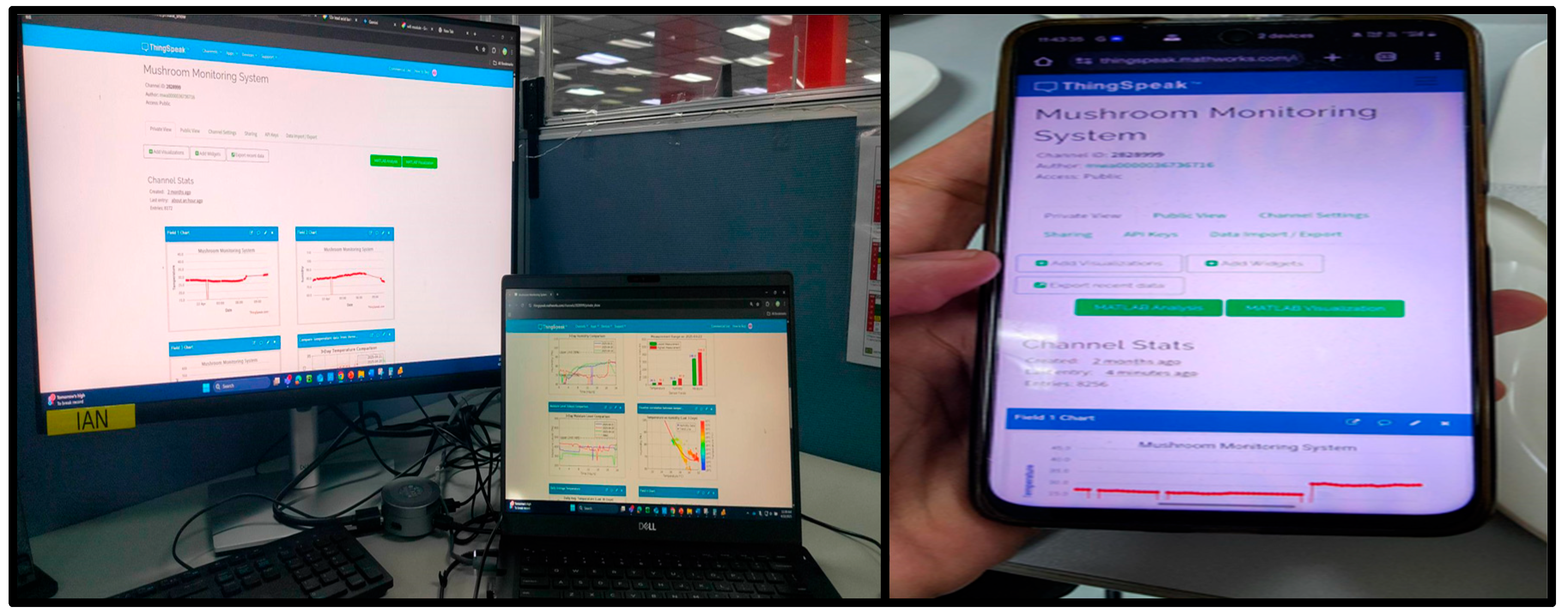 Preprints 172453 g006