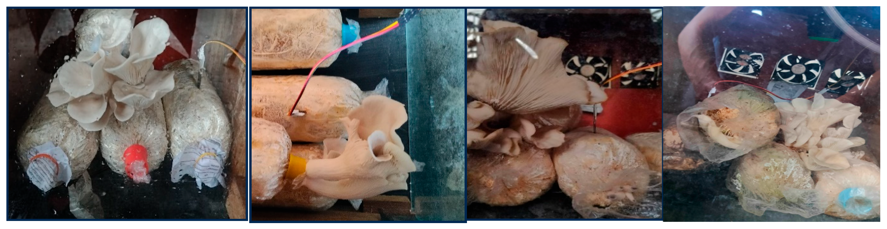 Preprints 172453 g008